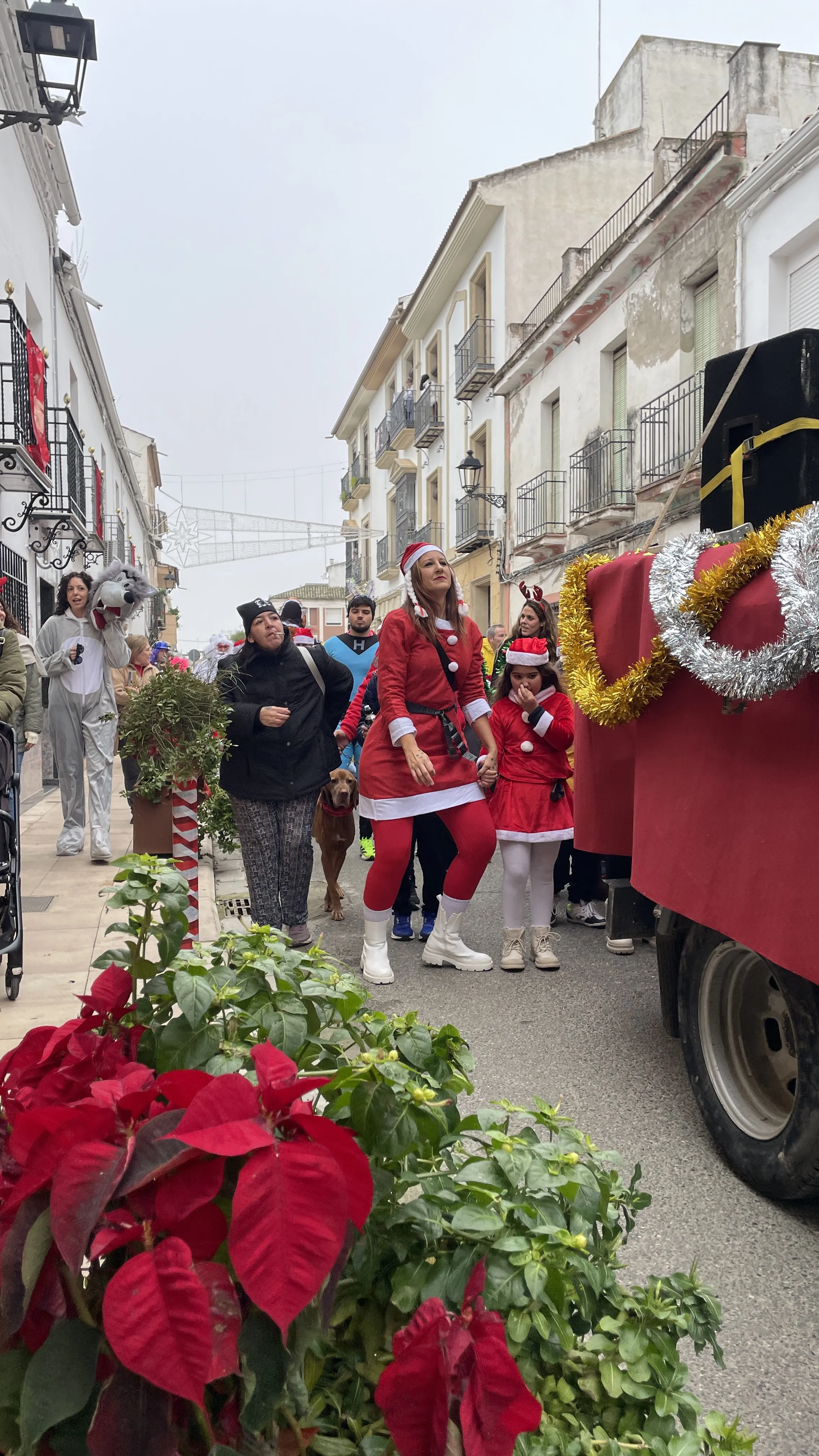 San Silvestre de Villa del Río 2025