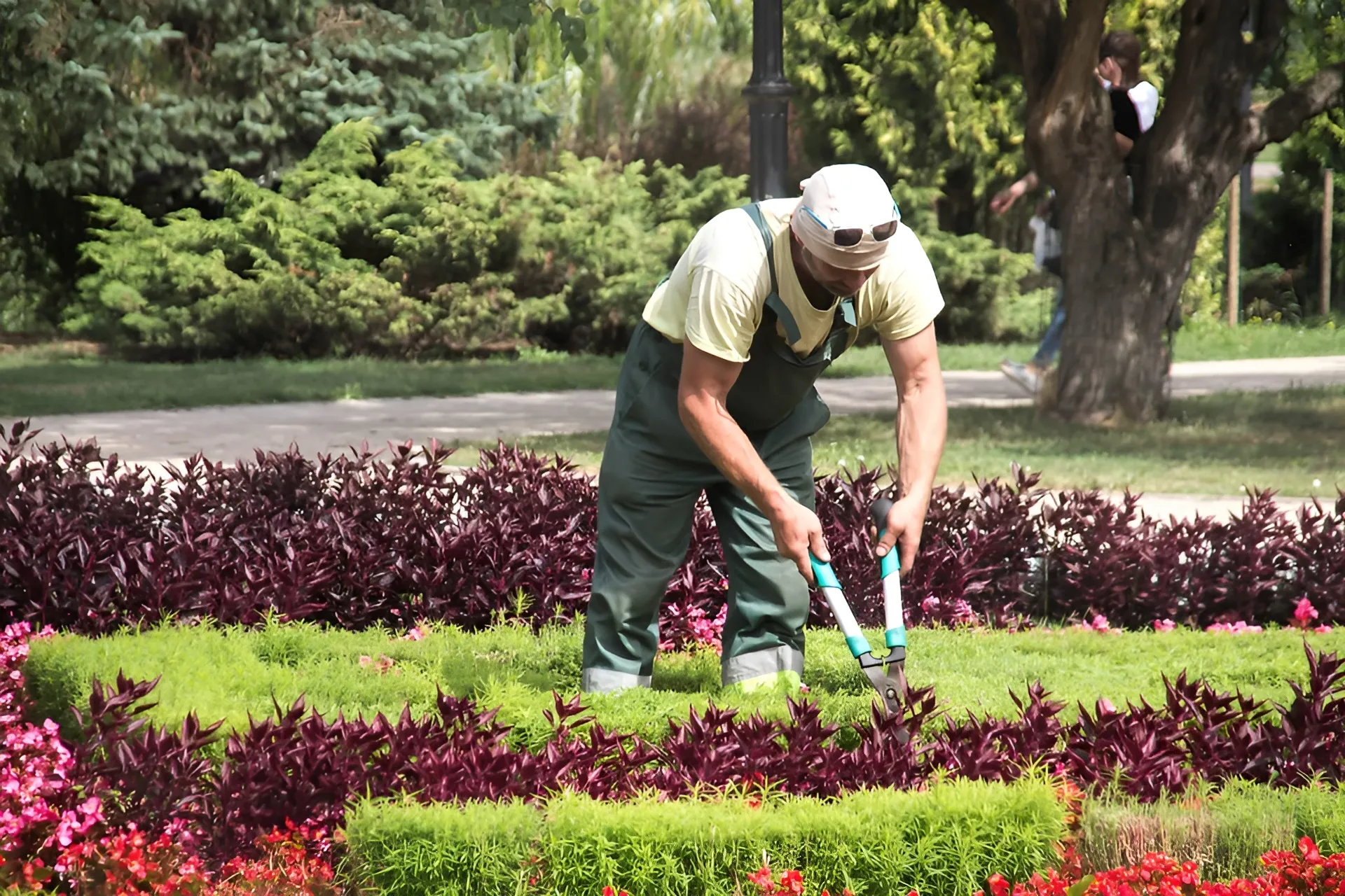 La jardinería es uno de los puestos ofrecidos en el programa Activa-T Joven en Cañete de las Torres.