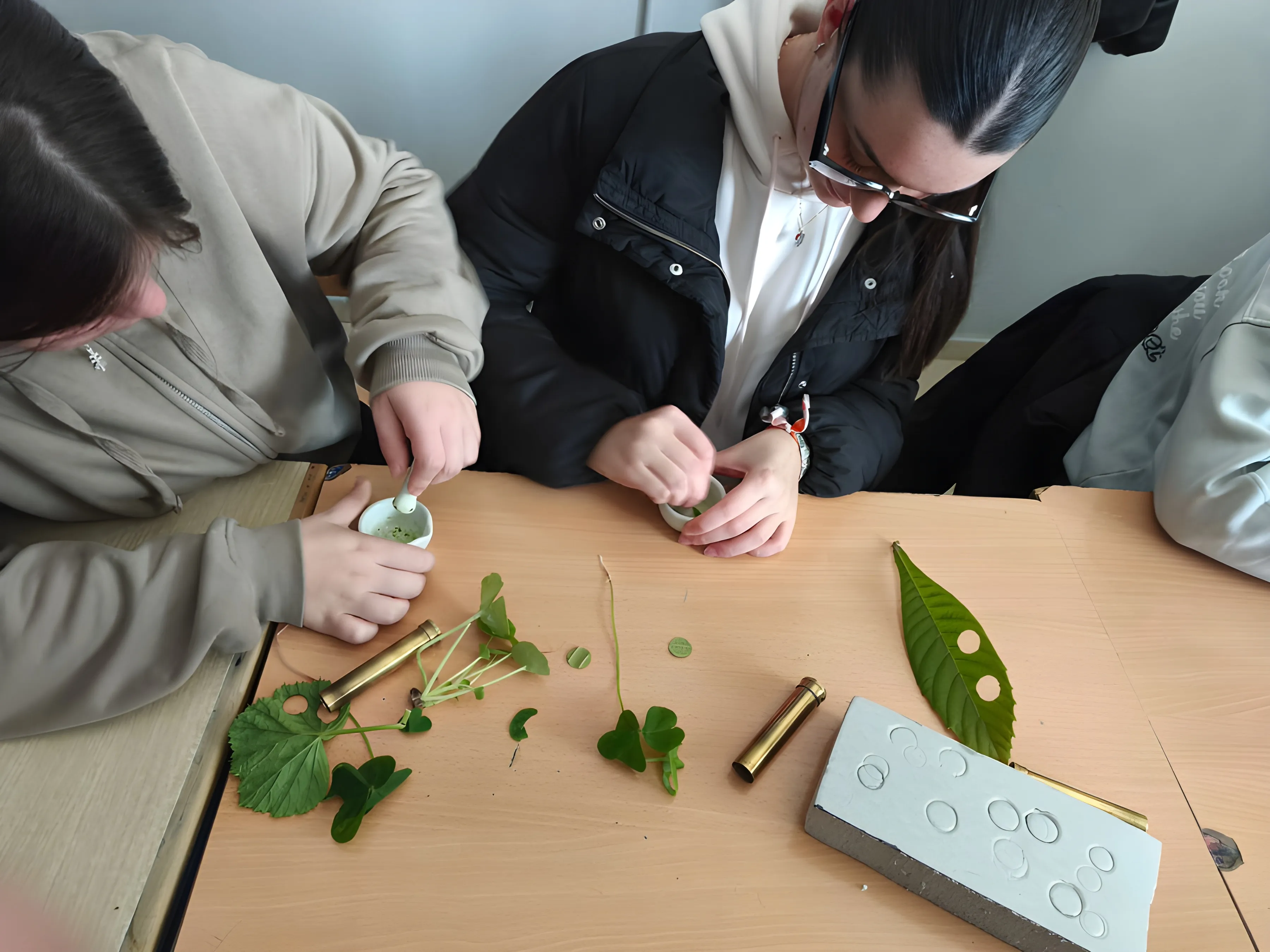 Fotografía del taller Del satélite a tu bosque teledetección para estudiar la evolución y evaluación del estado de salud de los bosques. Foto: UCO