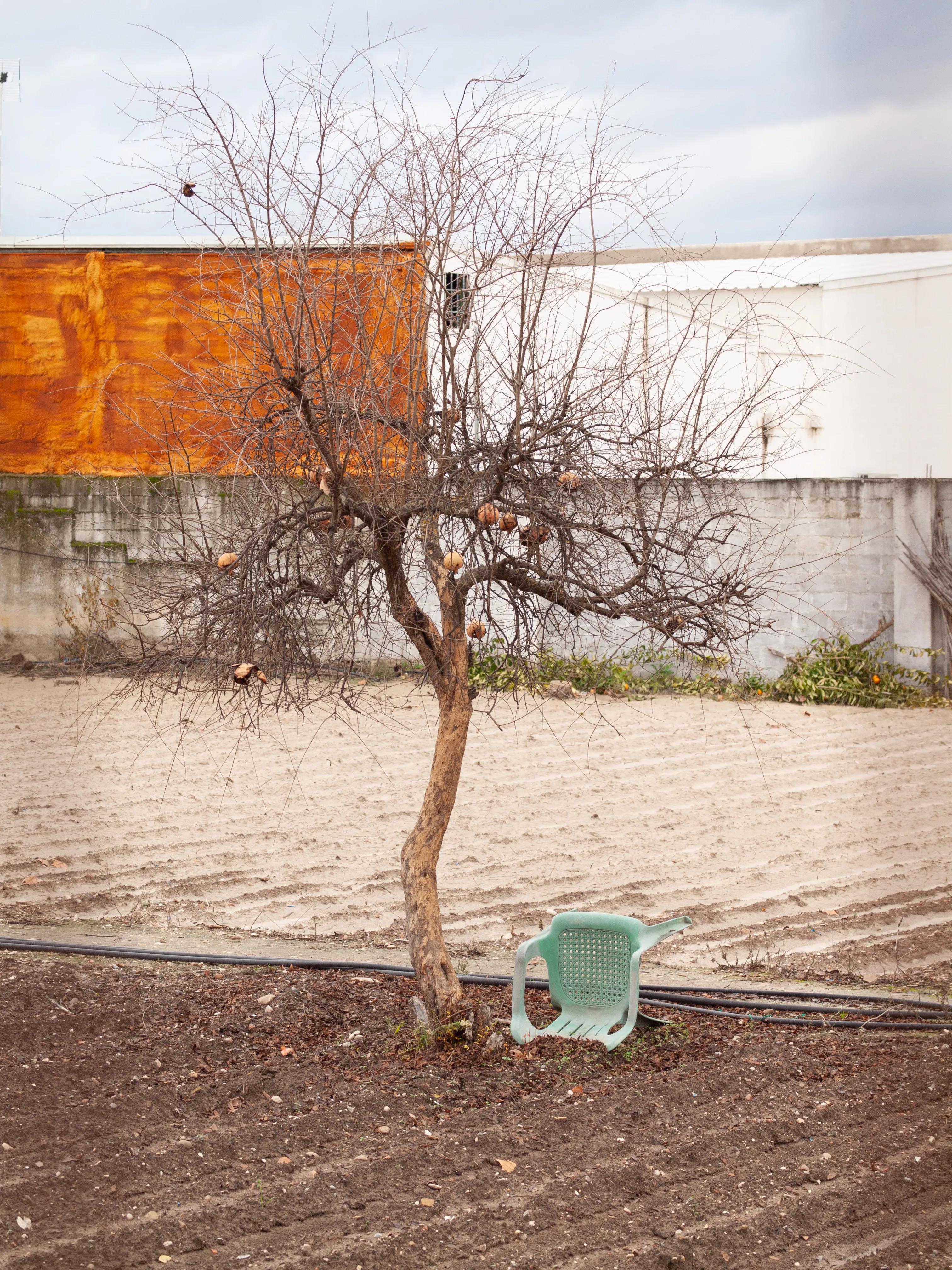 Villa del Río, año 2010. Antiguo huerto, actual museo Pedro Bueno. Foto: Óscar H. Falagán