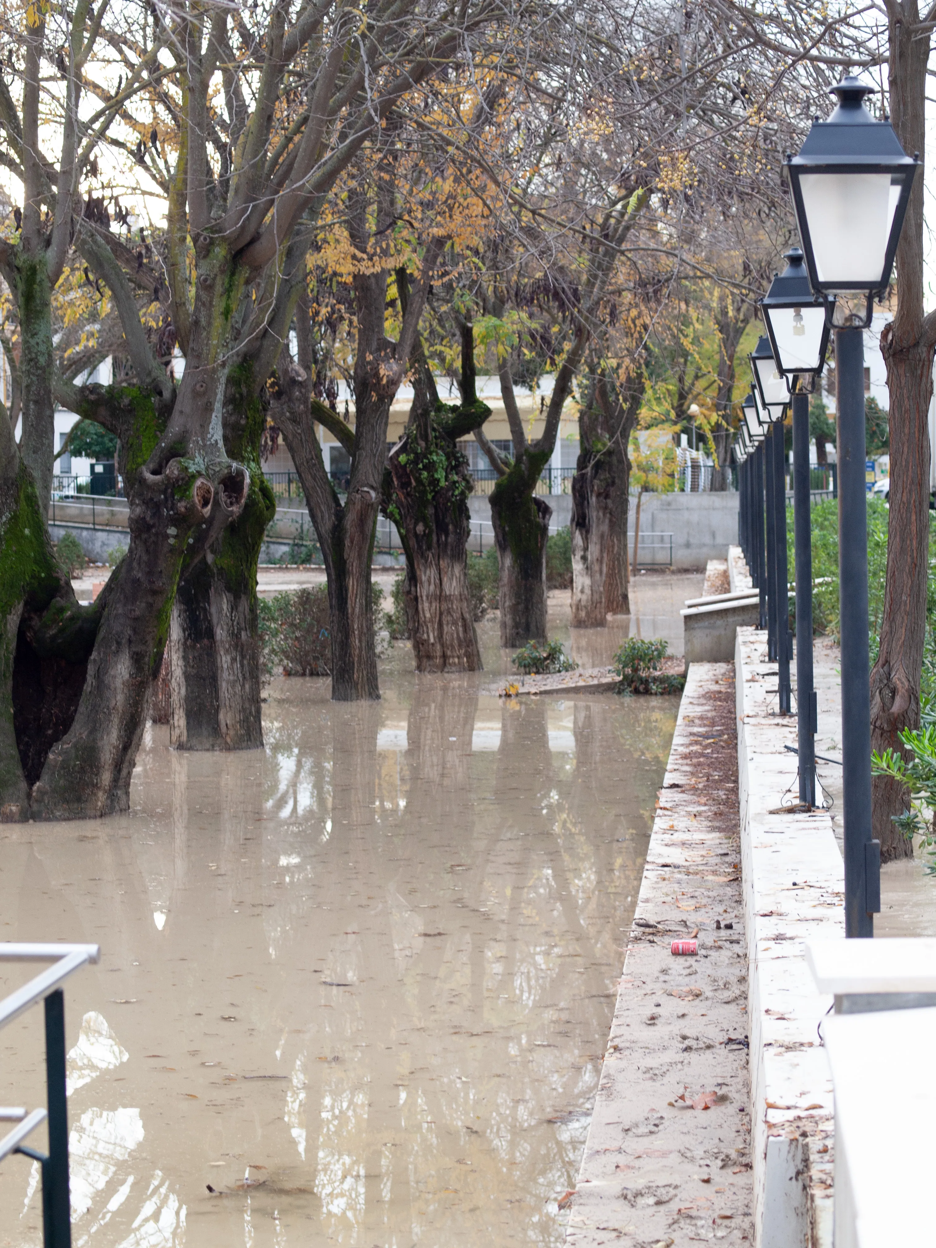 Villa del Río, año 2010. Jardín del Lirio. Foto: Óscar H. Falagán