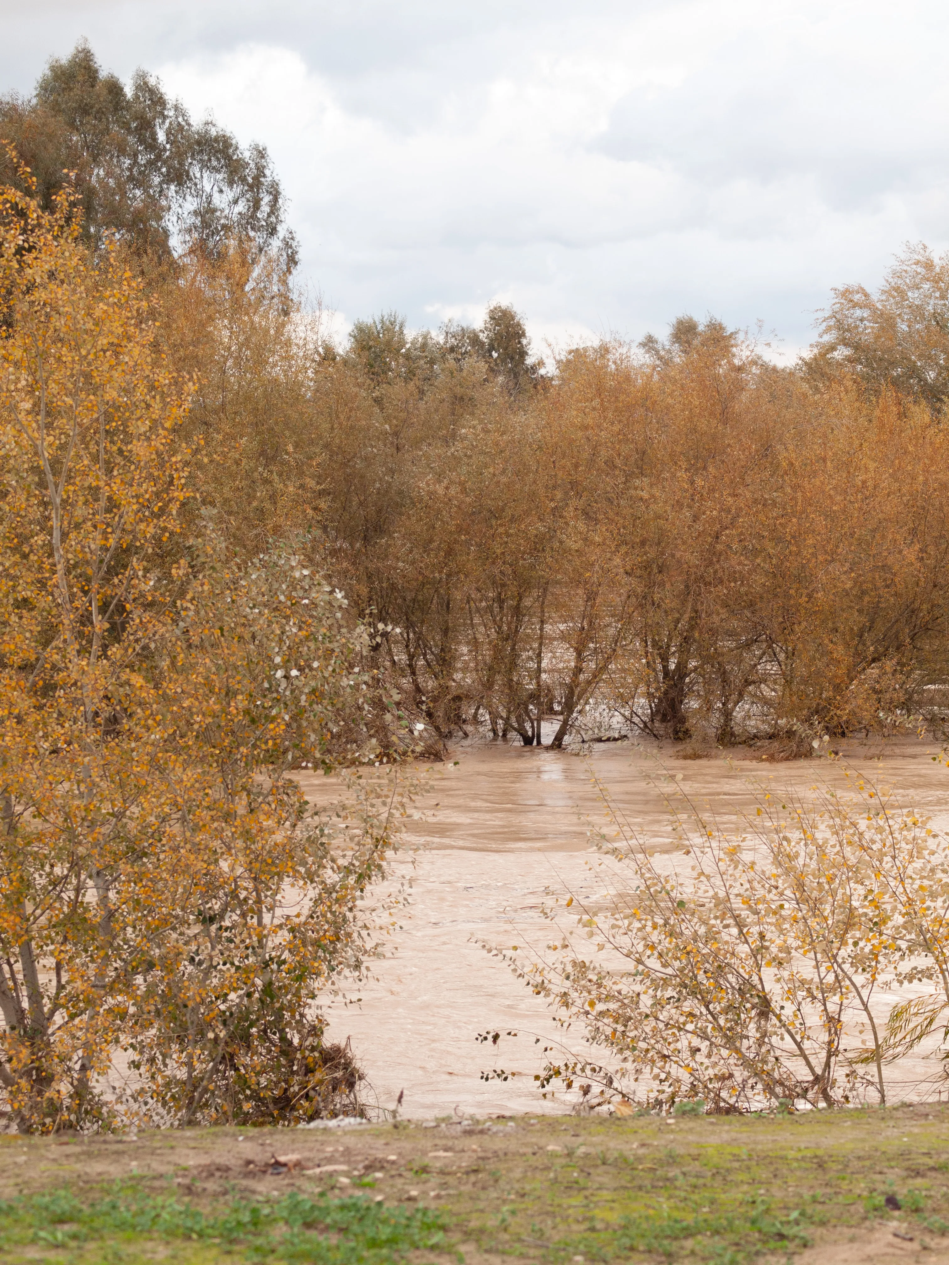 Villa del Río, año 2010. Ribera a su paso tras el Ambulatorio médico. Foto: Óscar H. Falagán