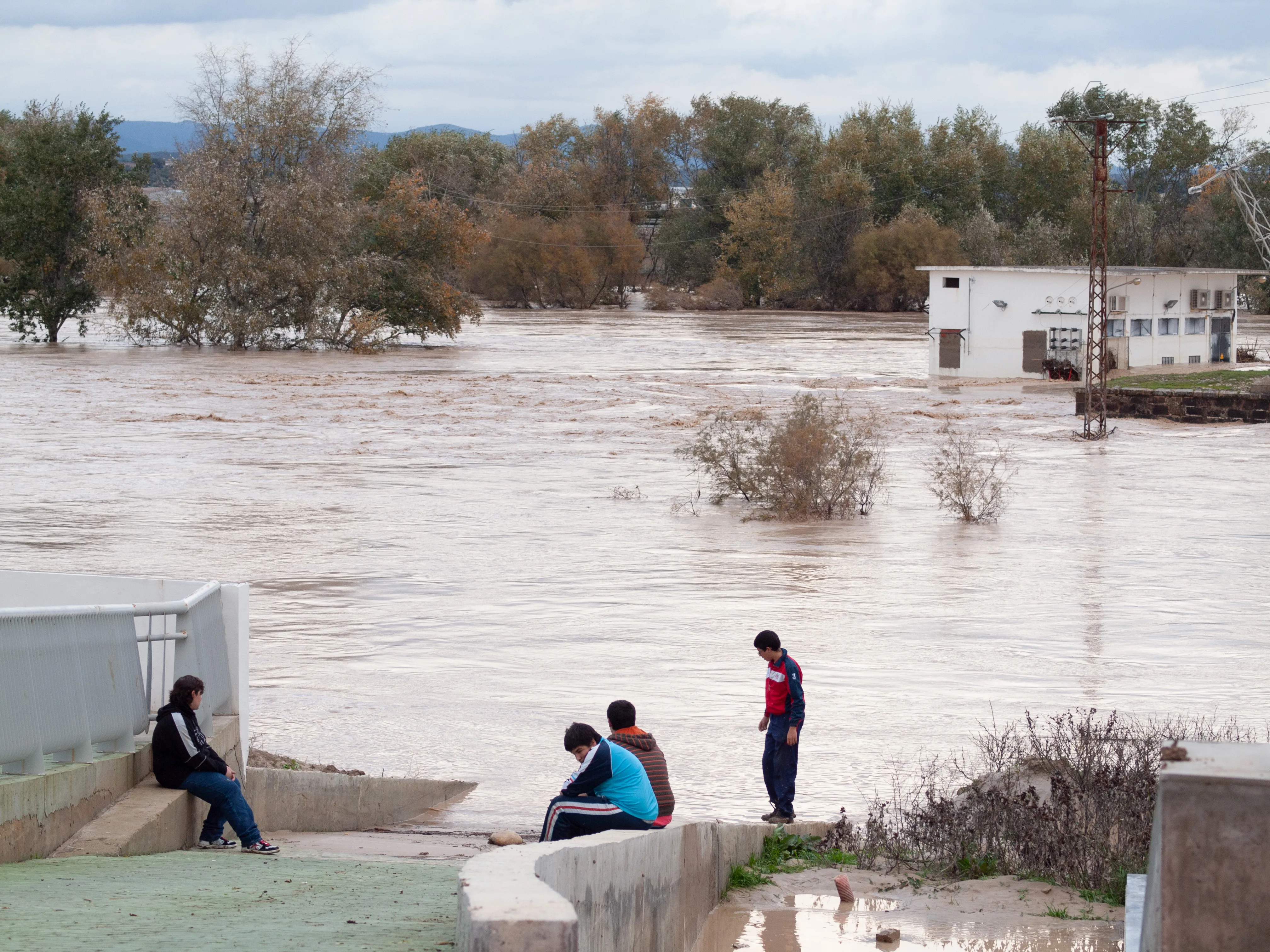 Villa del Río, año 2010. Ribera a su paso por la Aceña. Foto: Óscar H. Falagán