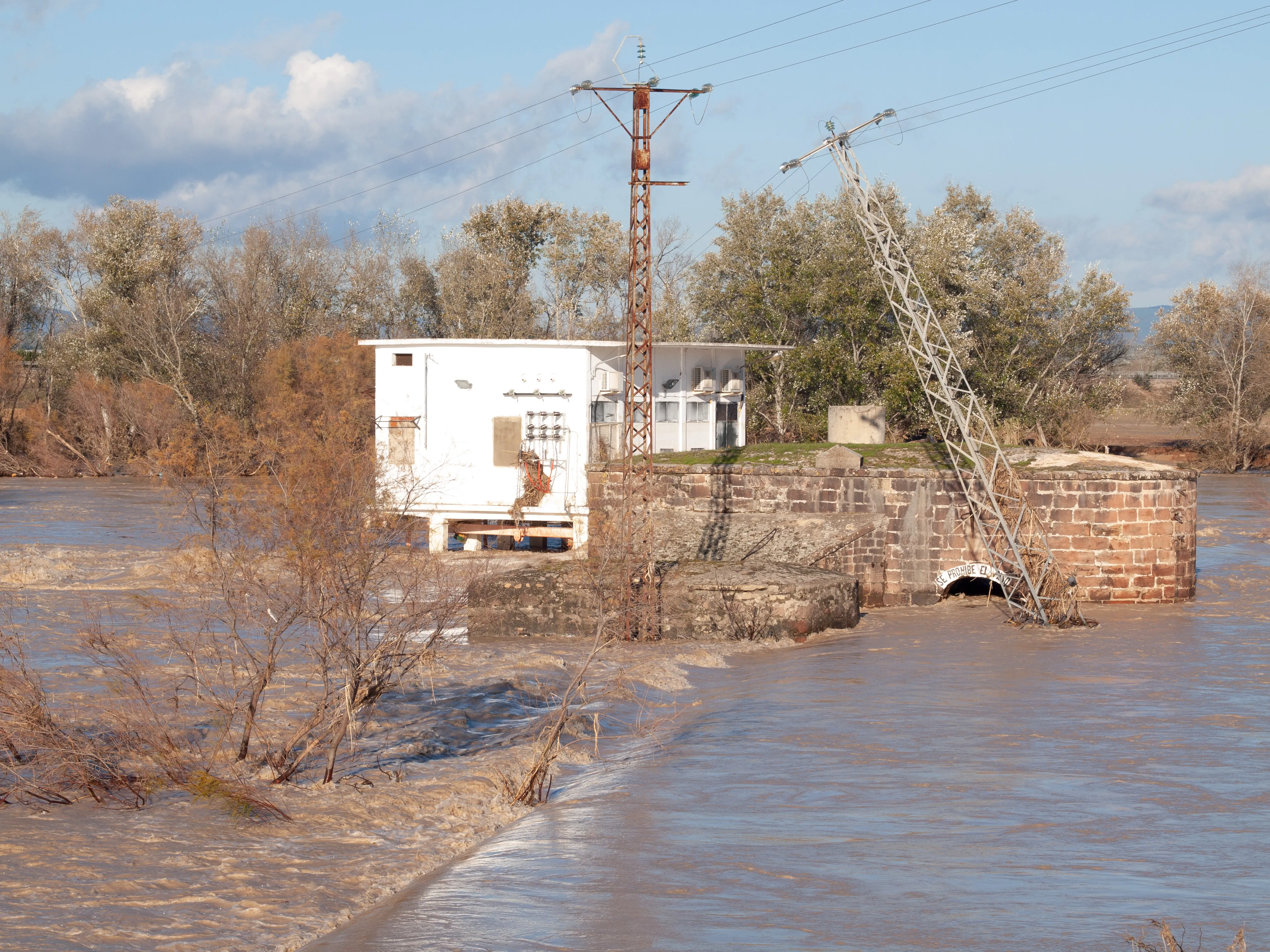 Villa del Río, año 2010. Ribera a su paso por la Aceña. Foto: Óscar H. Falagán