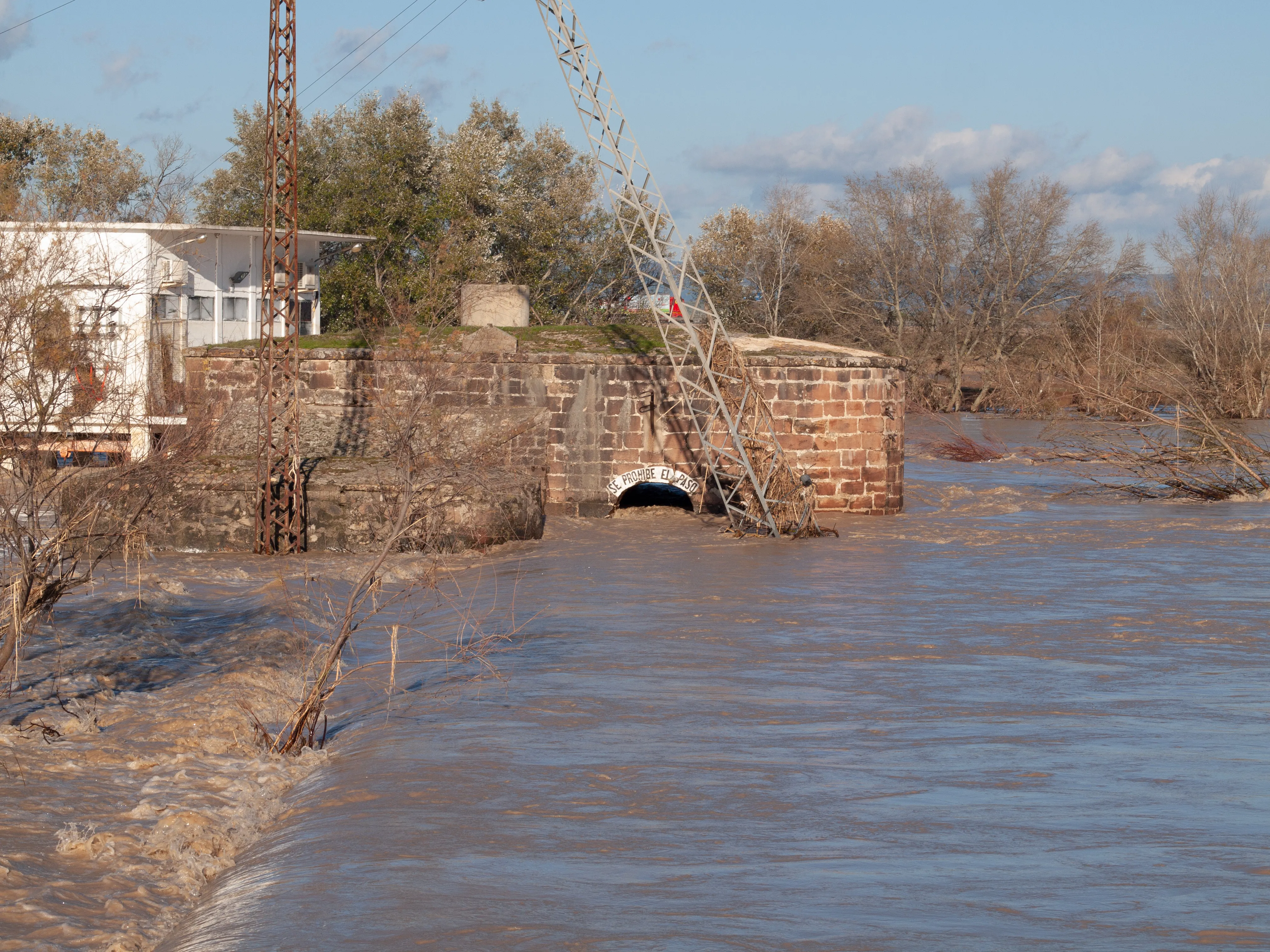 Villa del Río, año 2010. Ribera a su paso por la Aceña. Foto: Óscar H. Falagán