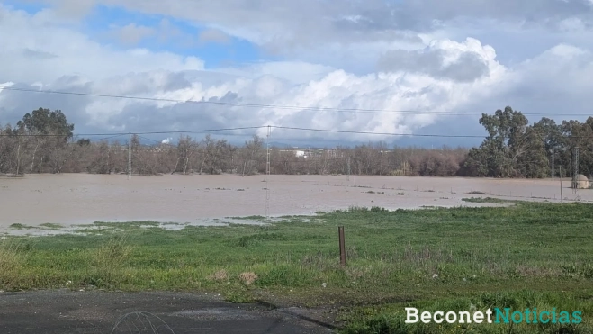 La crecida del Guadalquivir en El Carpio