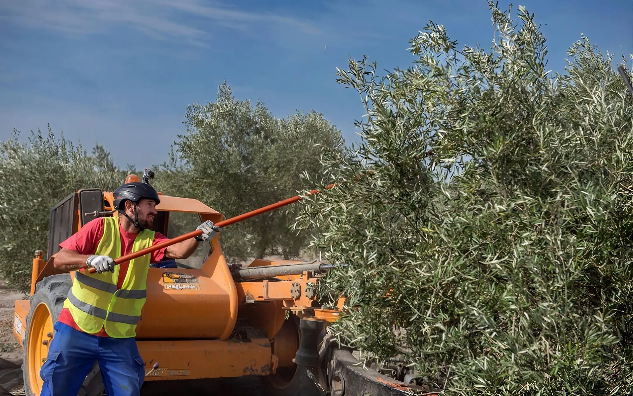 Los trabajadores se verán beneficiados de esta medida para acceder al subsidio agrario