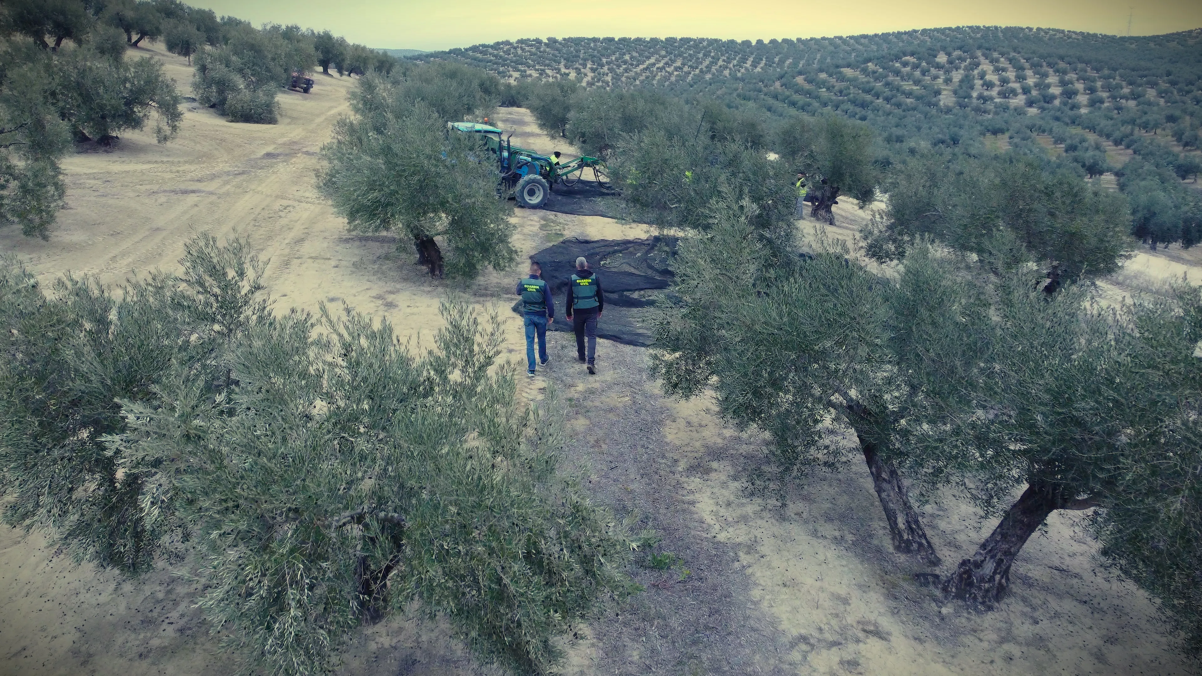Operativa de la Guardia Civil en una finca en Montoro. Foto: Guardia Civil
