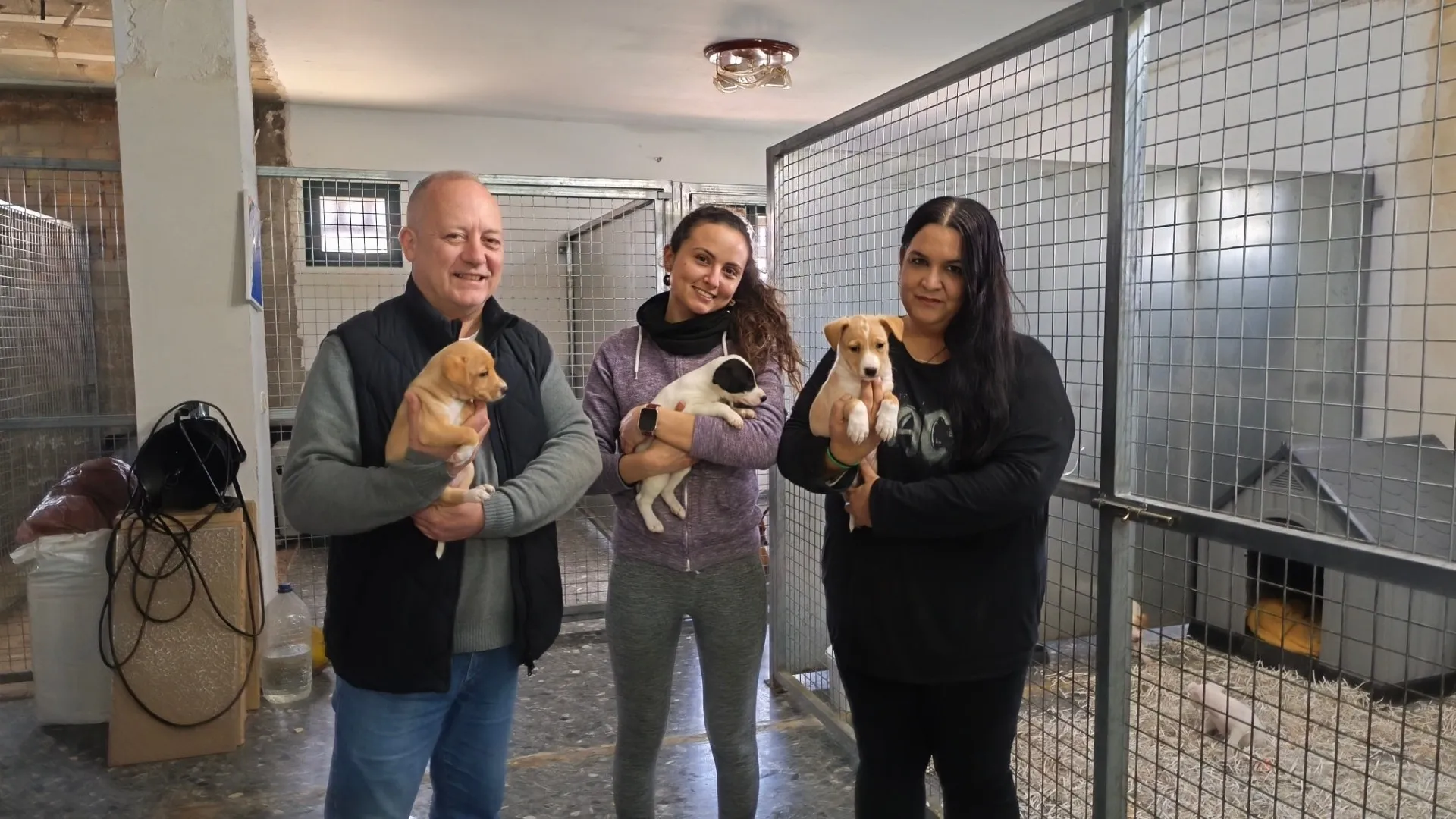 Visita al refugio donde se han instalado los nuevos habitáculos para perros abandonados.