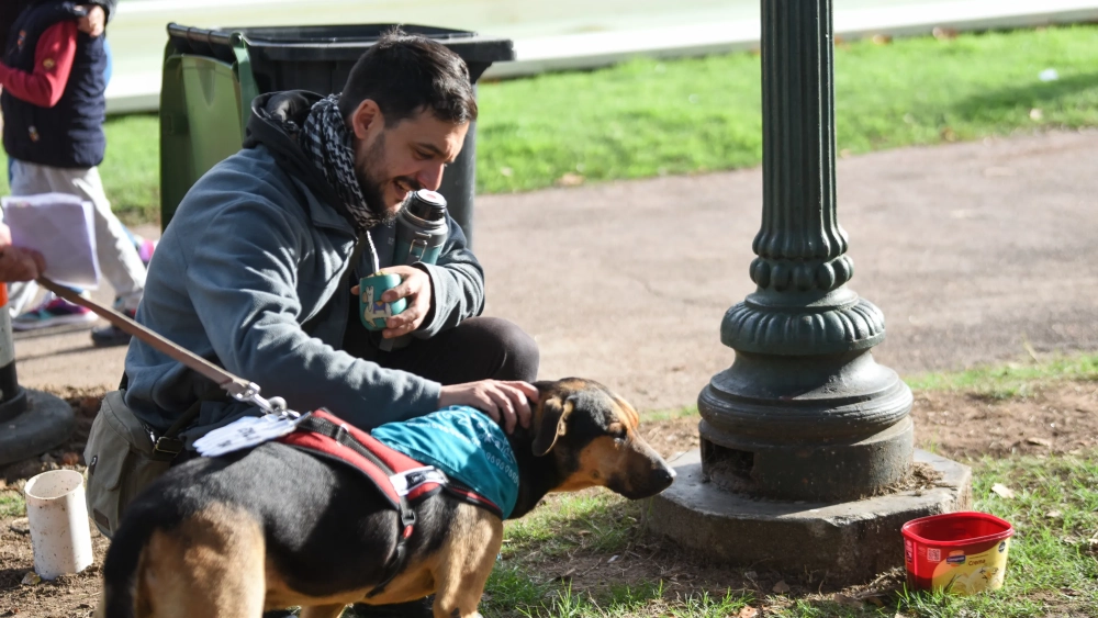 Hombre acariciando un perro. Hombre acariciando un perro.