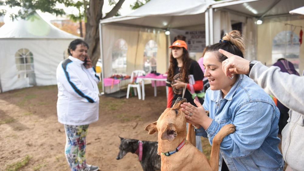 La importancia de los animales. La importancia de los animales.