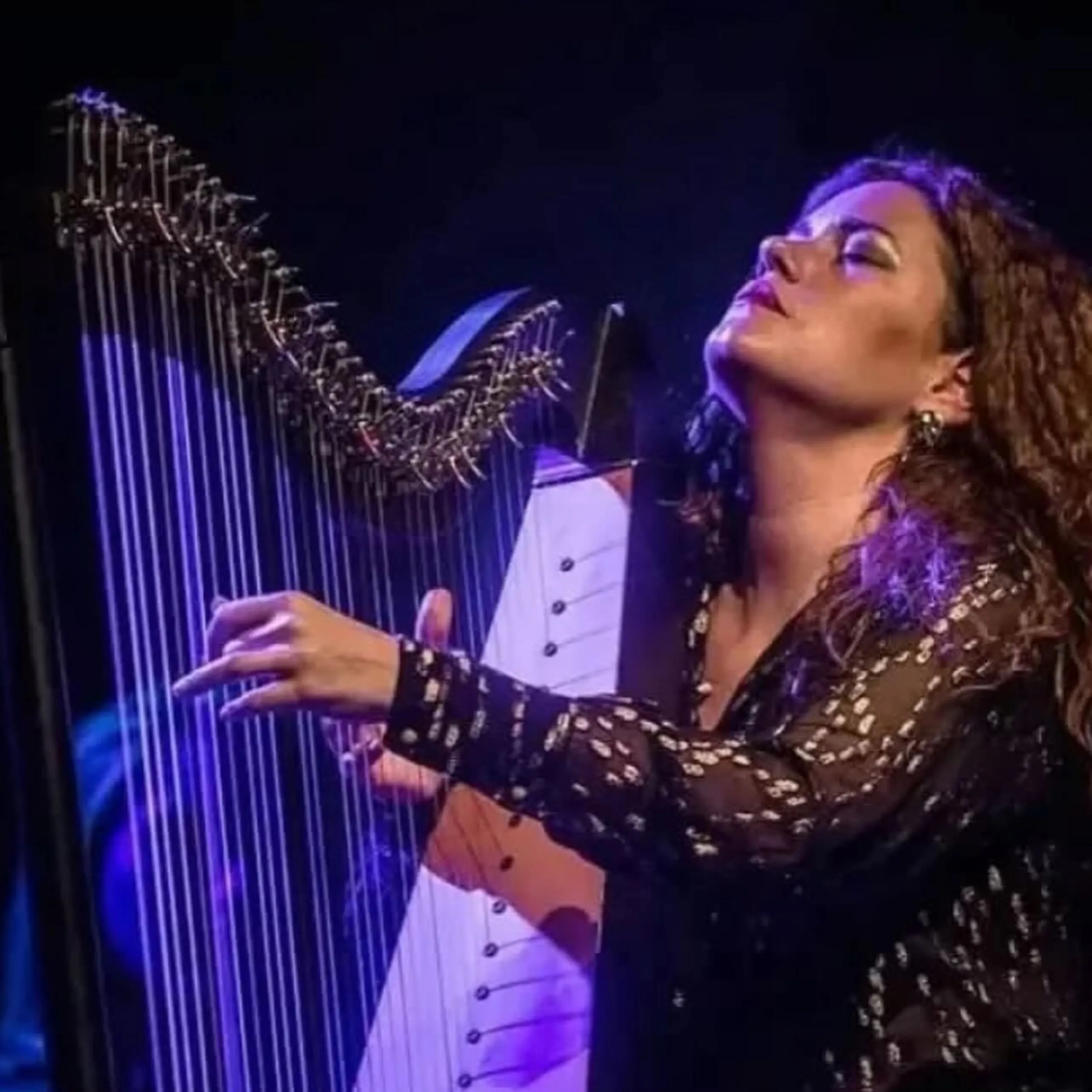Ana Crisman toca su arpa durante una función. Foto: Ana Crisman