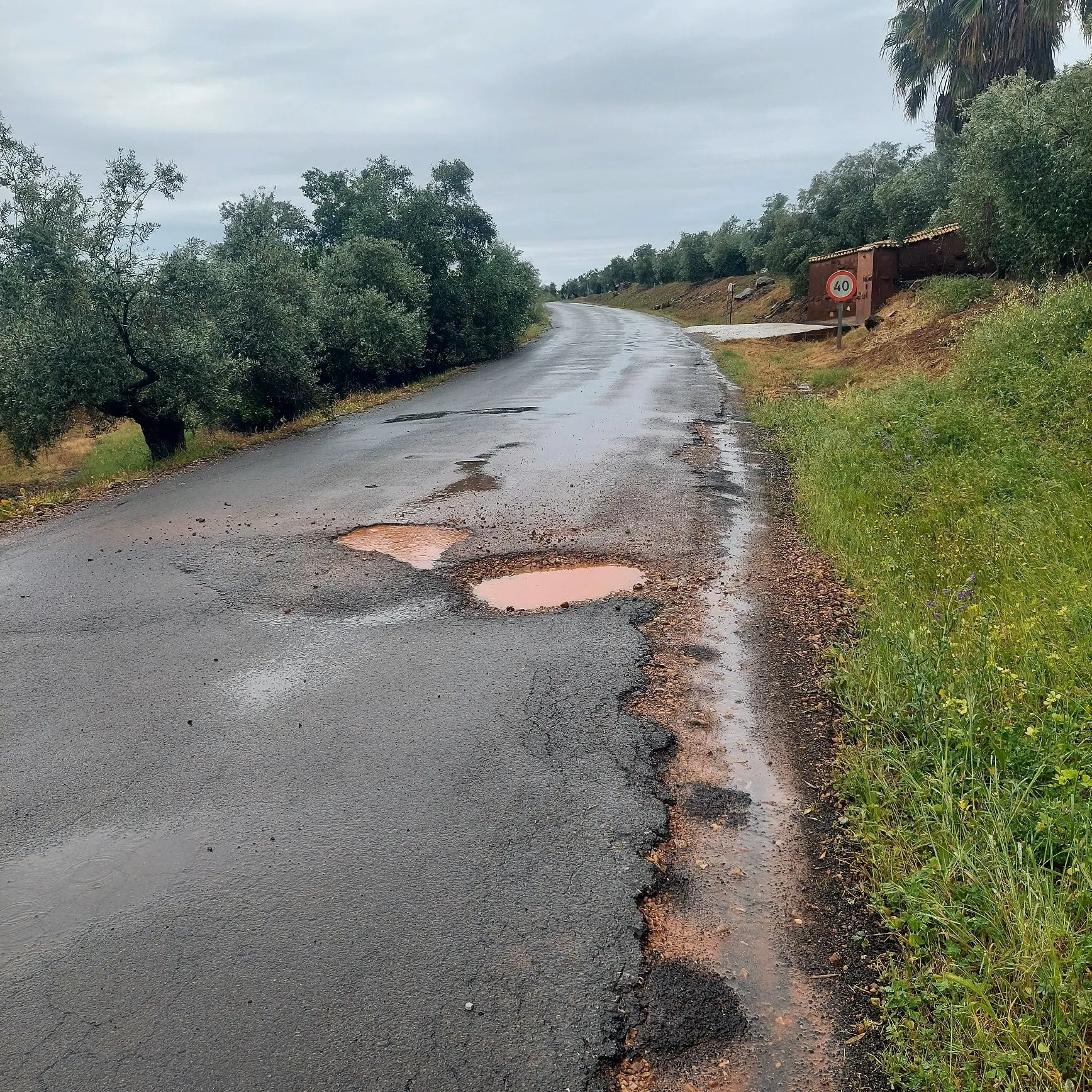 Estado de algunos de los caminos rurales de Montoro, agravados tras las últimas lluvias