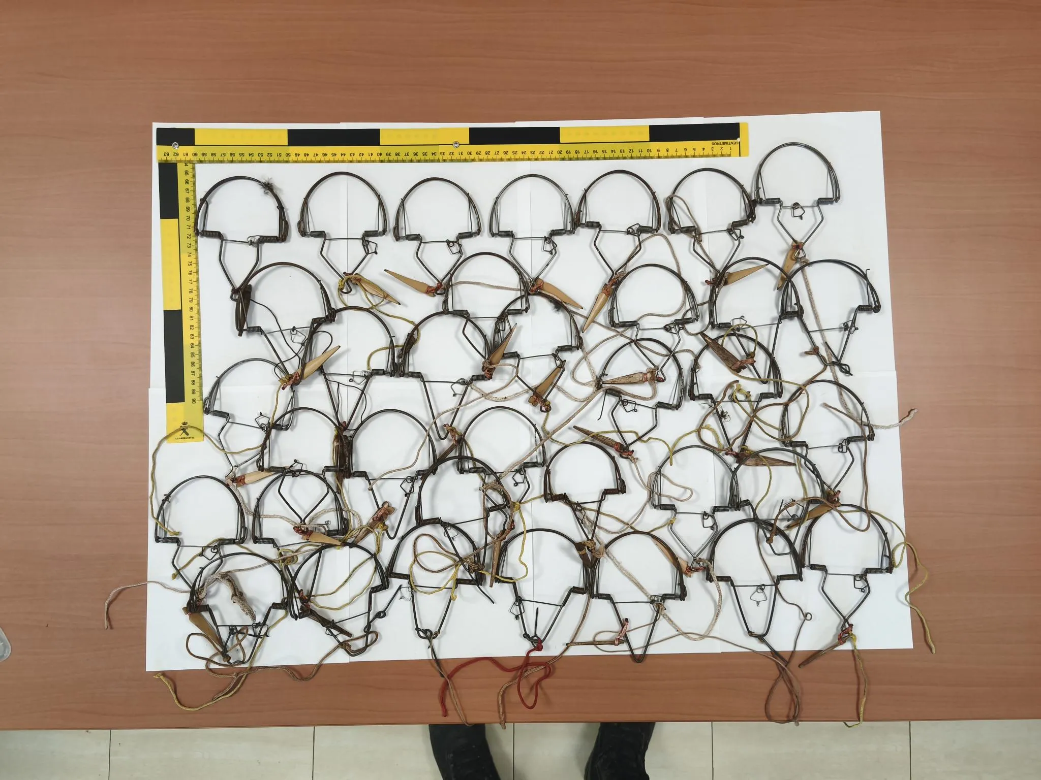 Trampas ilegales tipo “costillas” intervenidas por la Guardia Civil en la actuación contra la captura furtiva de aves en Villa del Río.