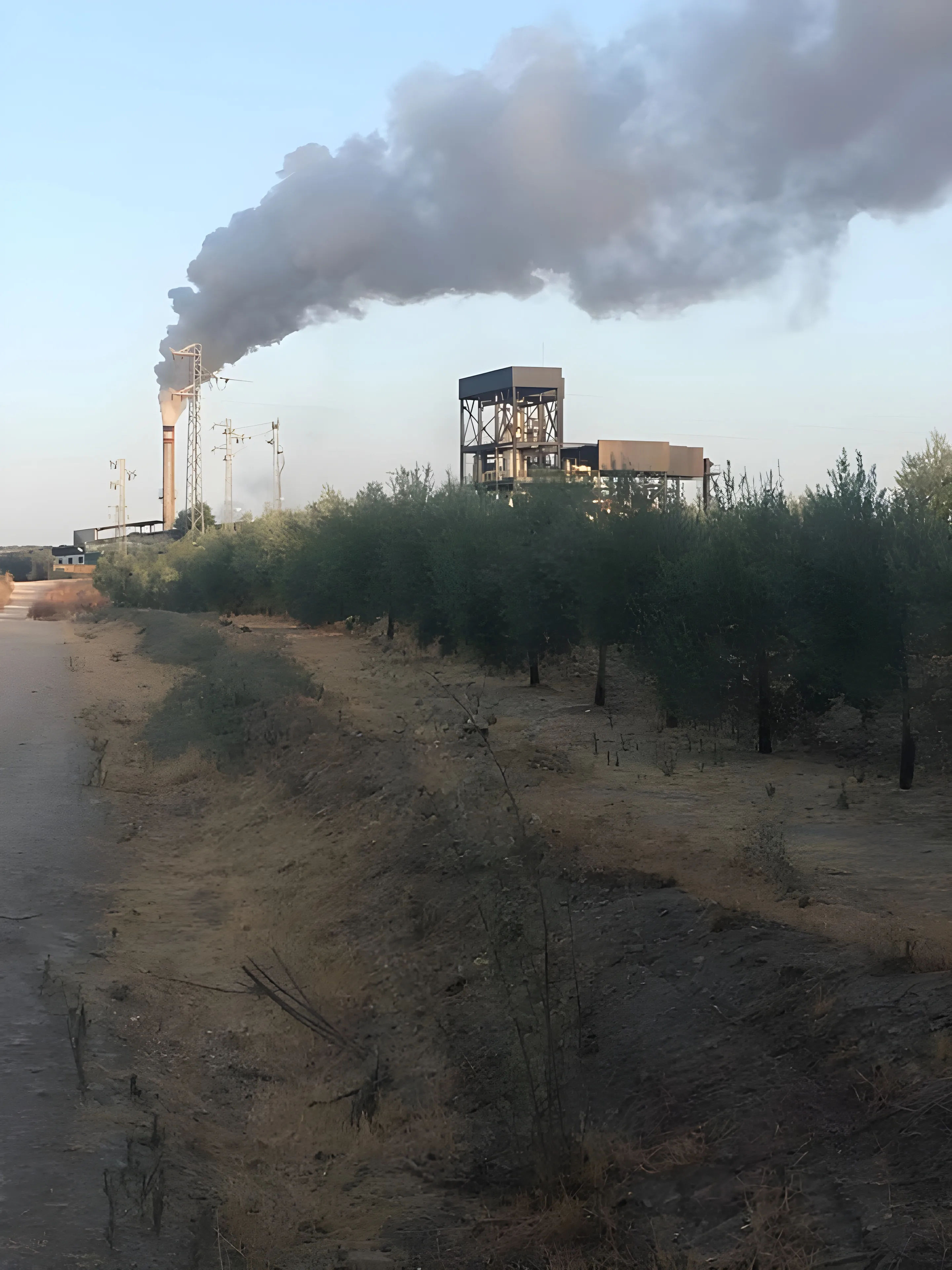 Planta Kurata de Cañete de las Torres