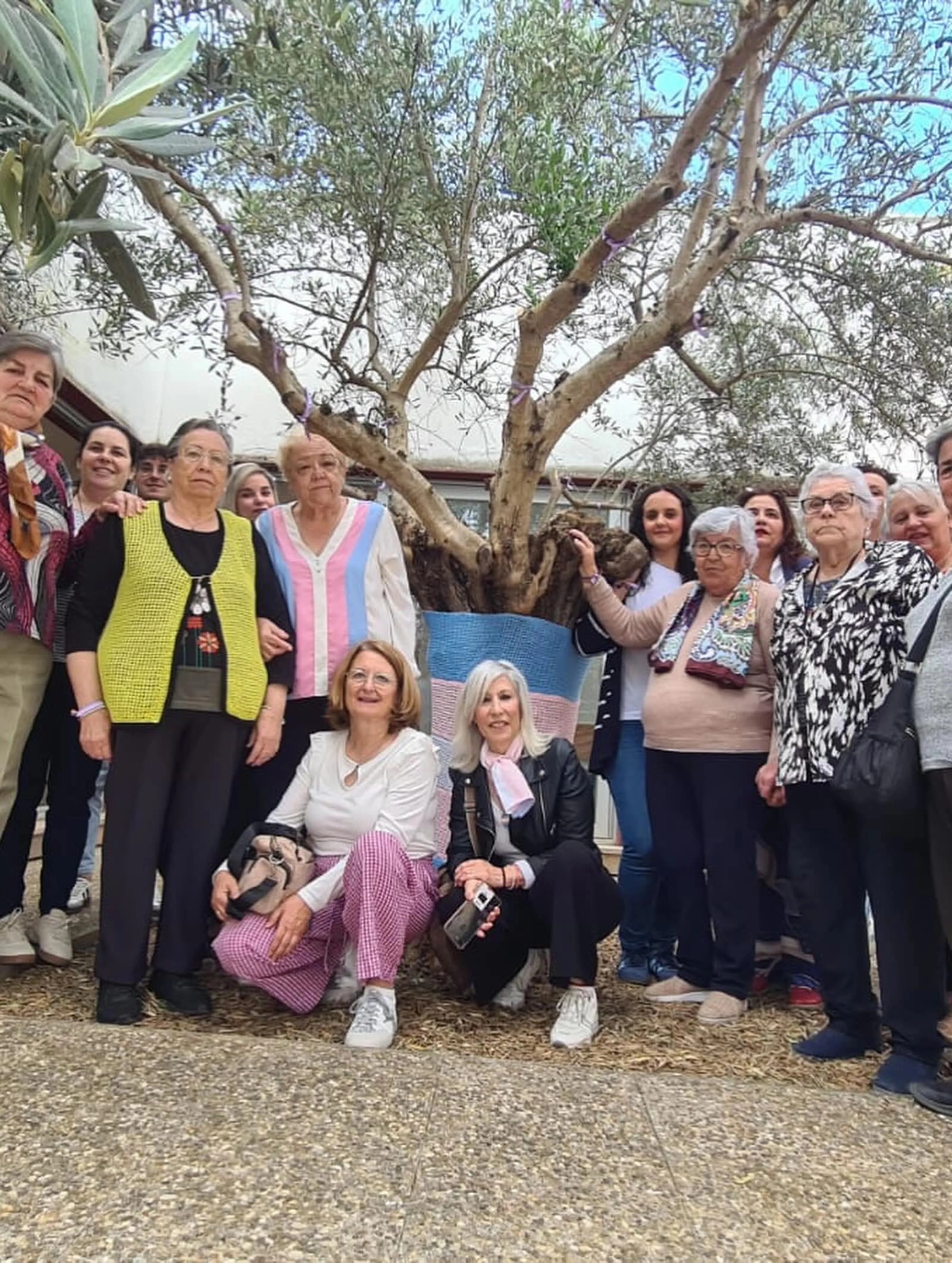 El olivo municipal luce la bandera trans tejida por las Mujeres Tejedoras Adamuceñas, en un gesto de apoyo a la diversidad y la igualdad.
