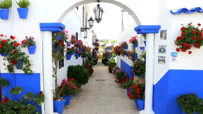 Huerto del frances, cañete