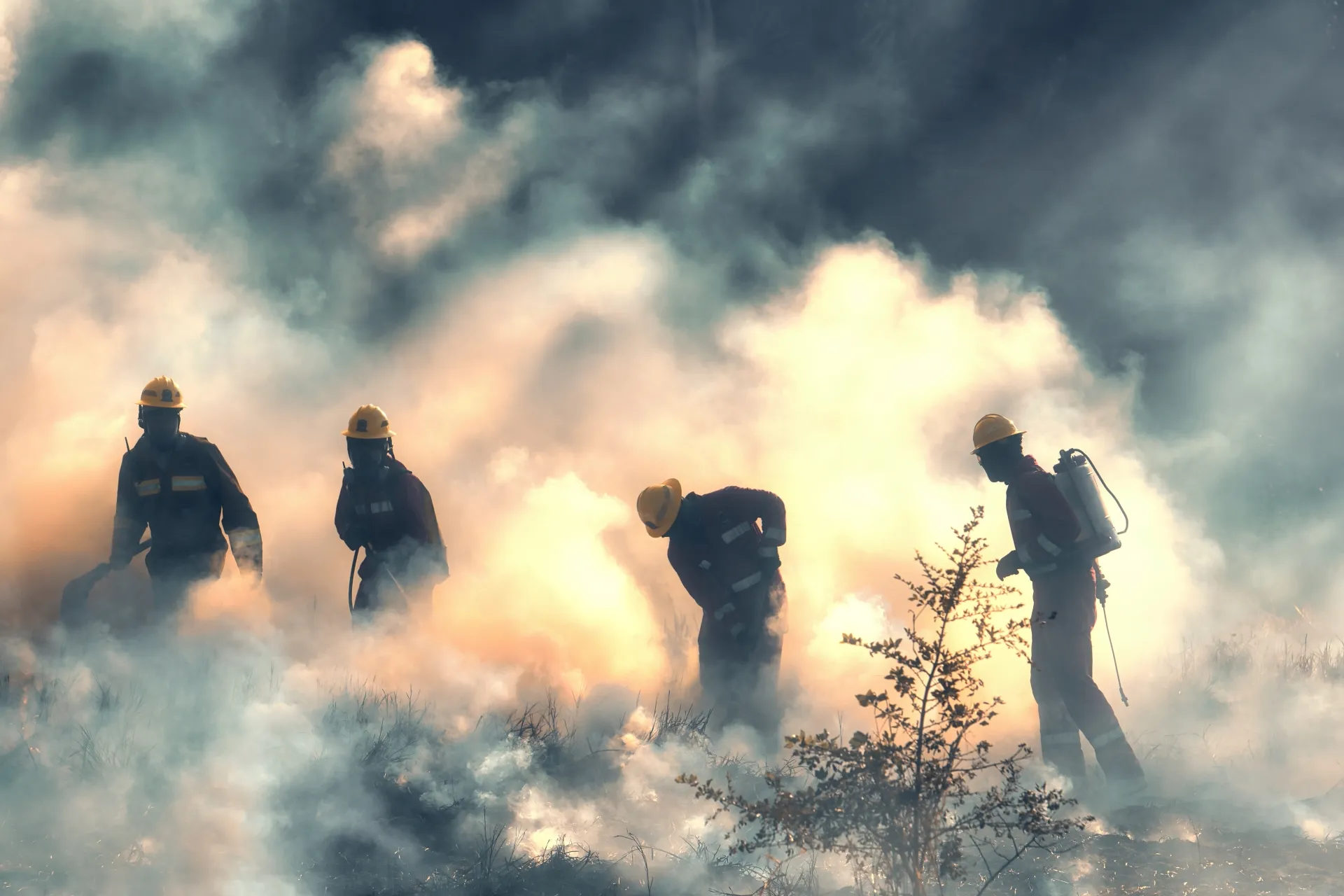 Bomberos forestales. Foto: Archivo