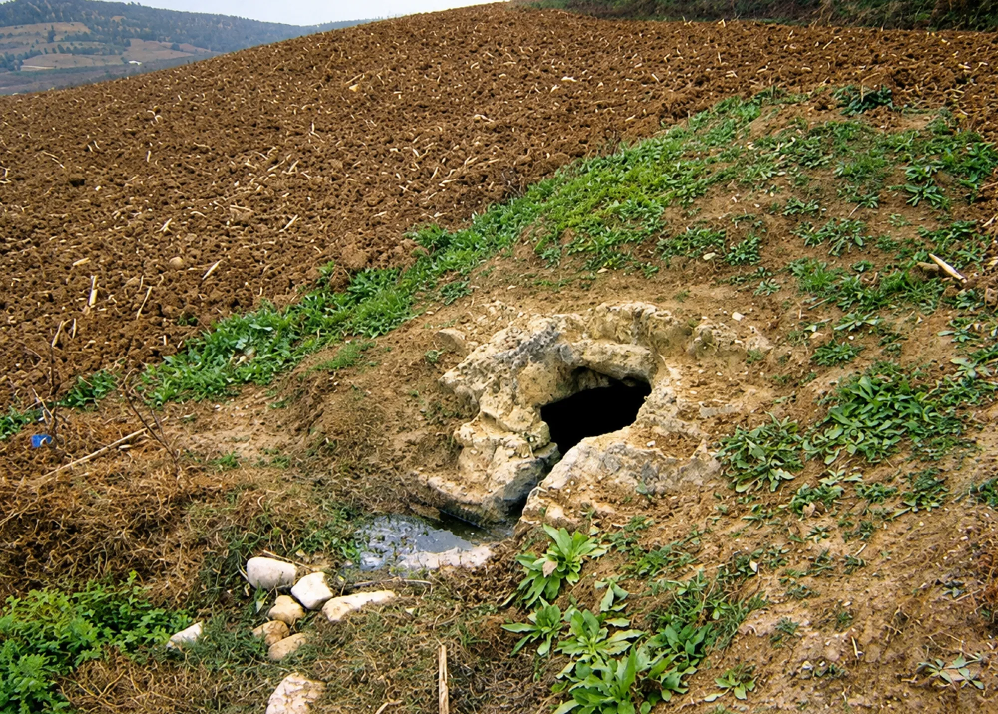 Fuente de Anzarino. (Foto de Archivo)