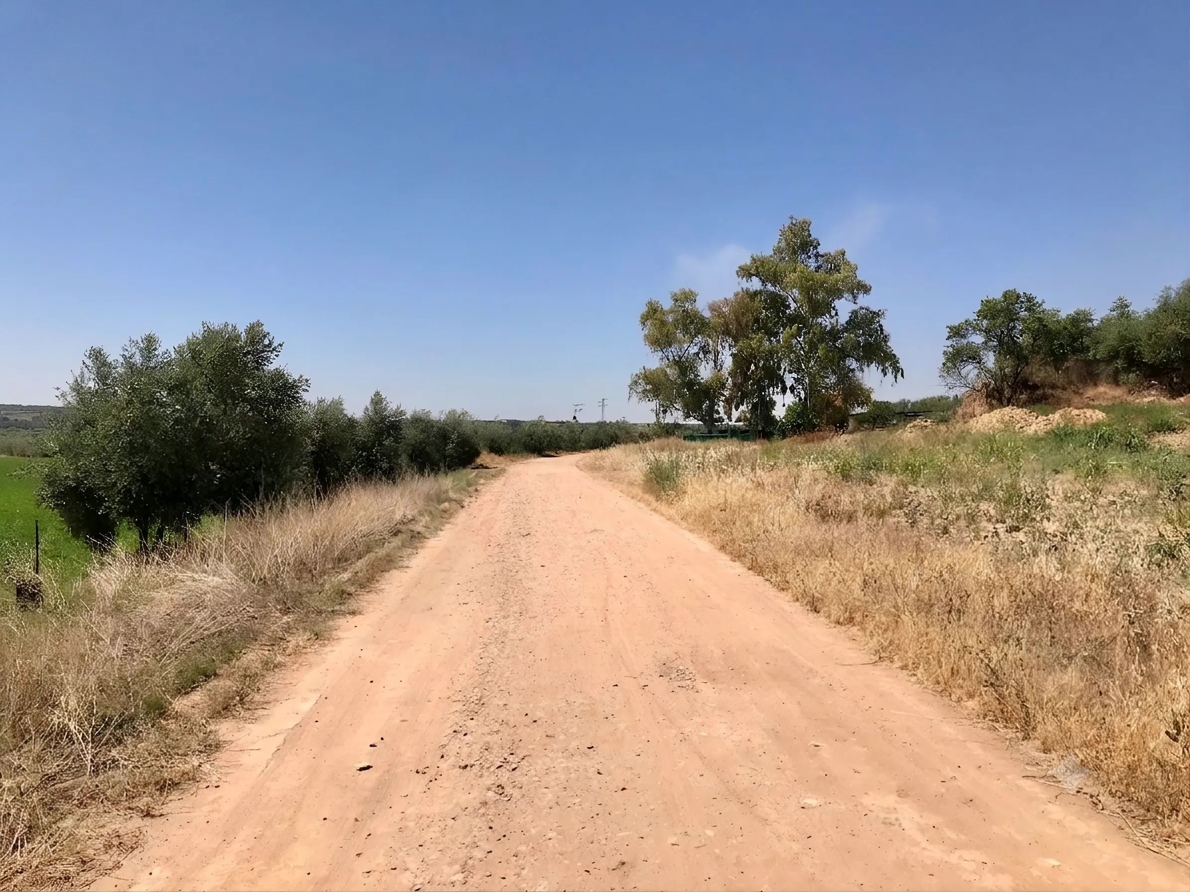 La ELA de Algallarín aprueba una ordenanza que regula el uso de los caminos rurales, fija sanciones de hasta 30.050 euros y refuerza su conservación.