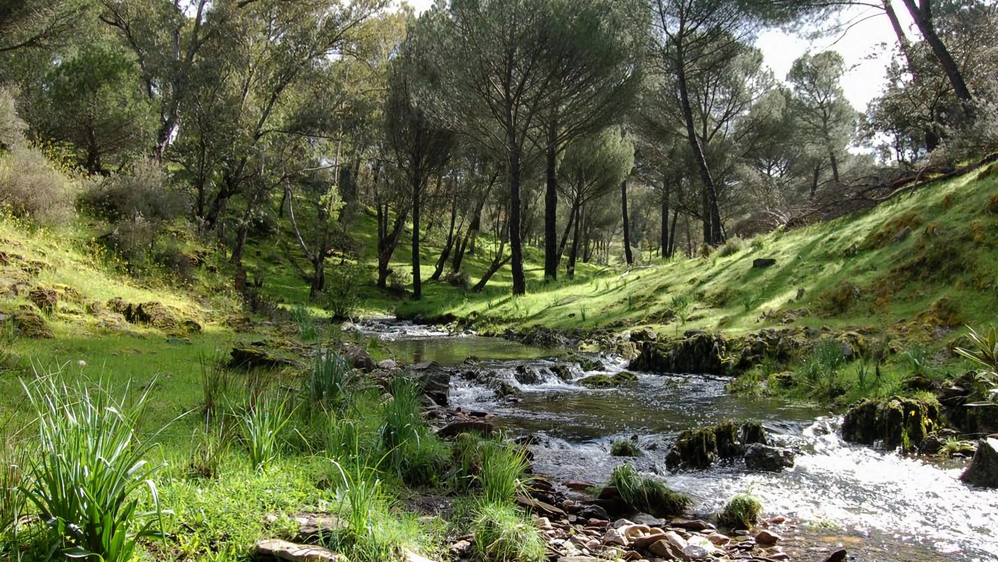 Montes Comunales de Adamuz. Foto: Oficina de Turismo de Adamuz. Montes Comunales de Adamuz. Foto: Oficina de Turismo de Adamuz.