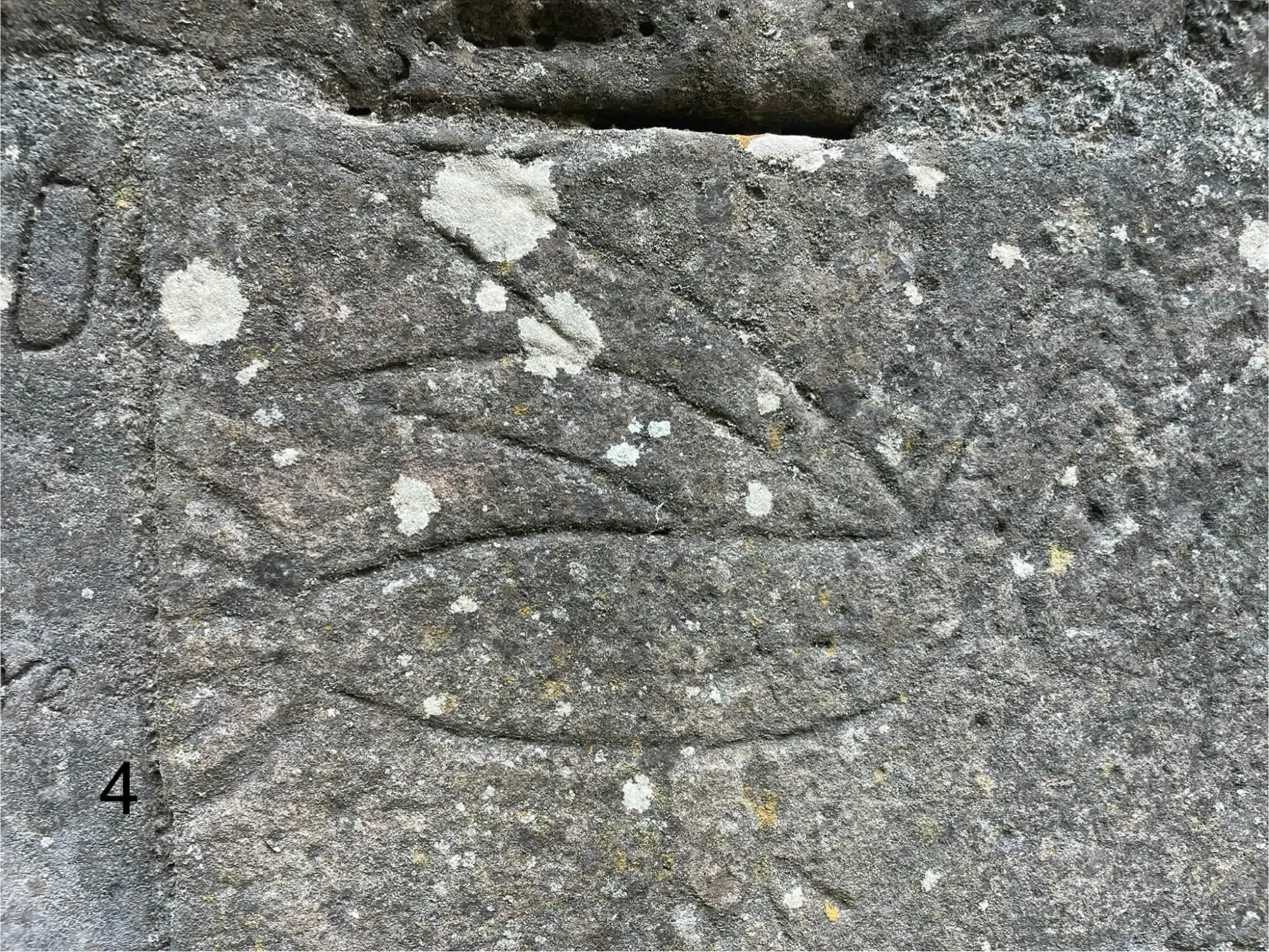 Grabados en las aceñas de Villa del Río
