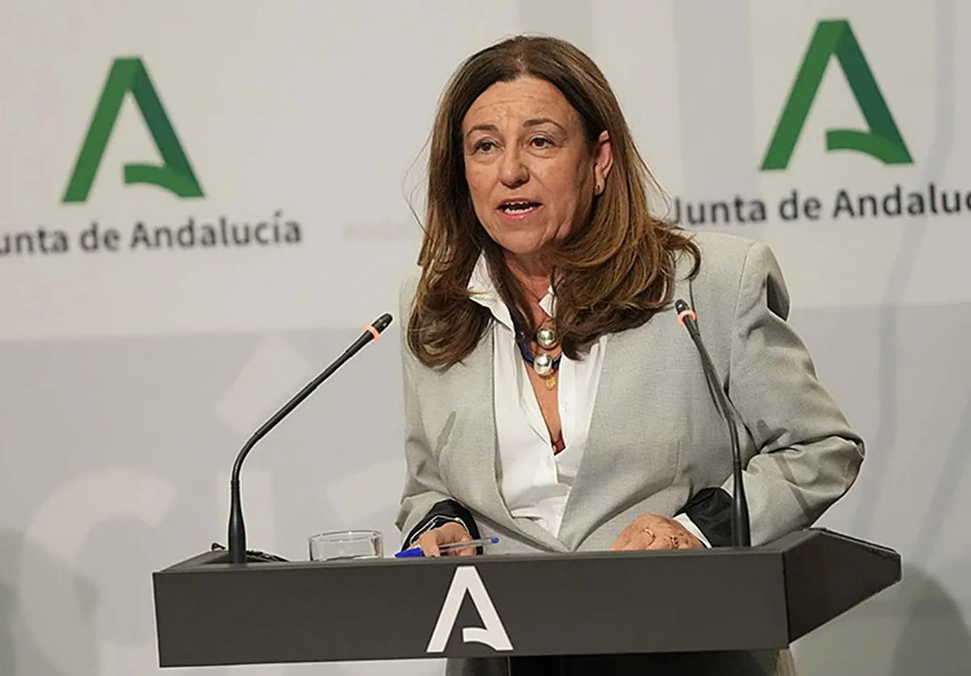 Carmen Castillo - Consejería de Educación