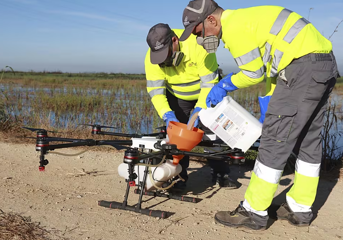 Operarios preparan un dron para luchar contra los mosquitos que transmiten el virus del Nilo Occidental. Foto: Europa Press