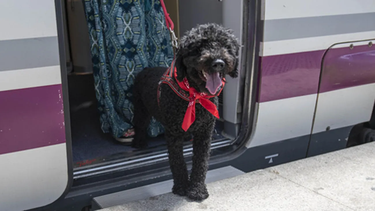El suplemento para mascotas tendrá un coste de 40 euros. Foto: RENFE