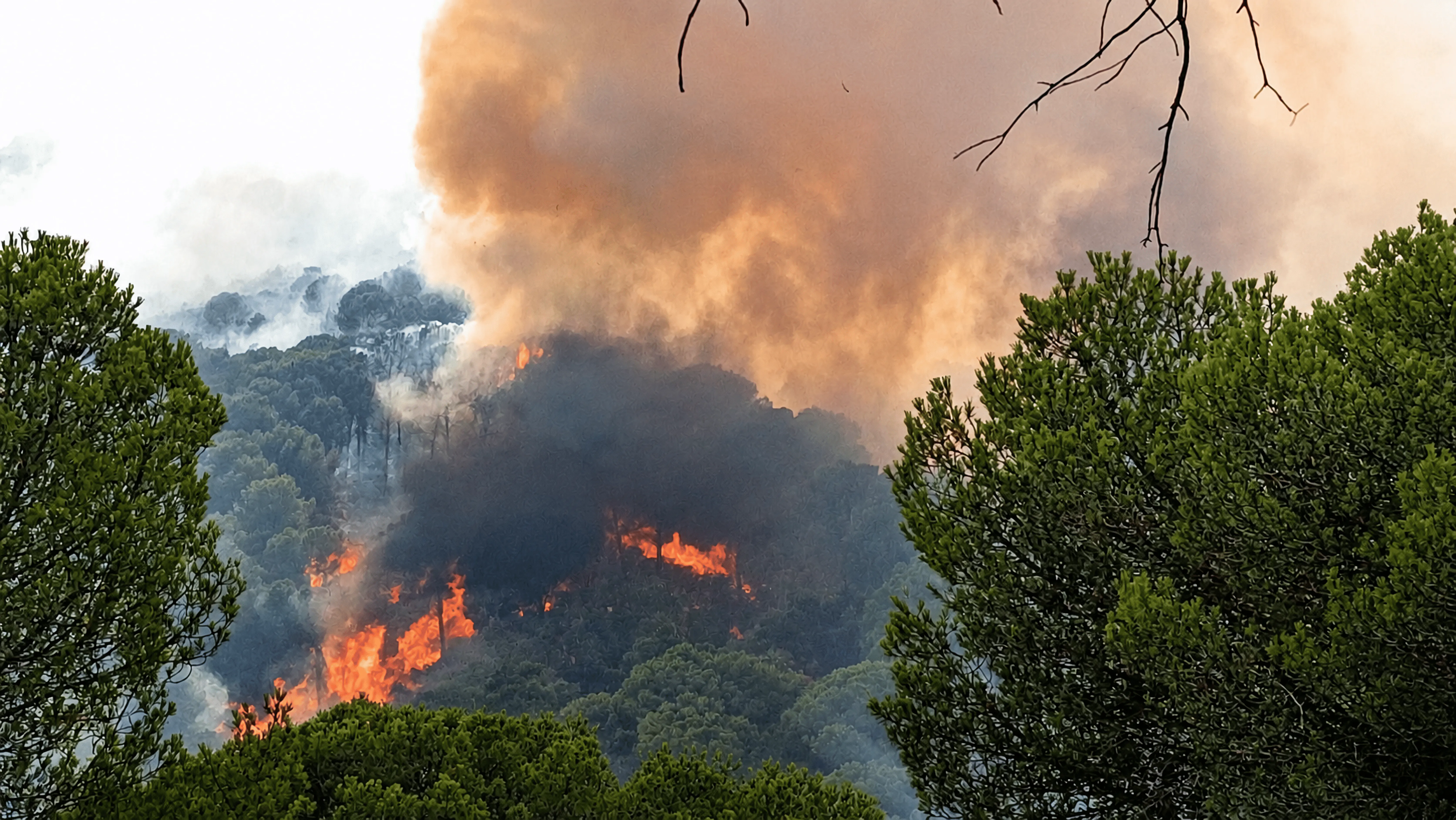 Fuego origina en Cerro Muriano. Foto: Grupo Voluntarios Siete Fincas