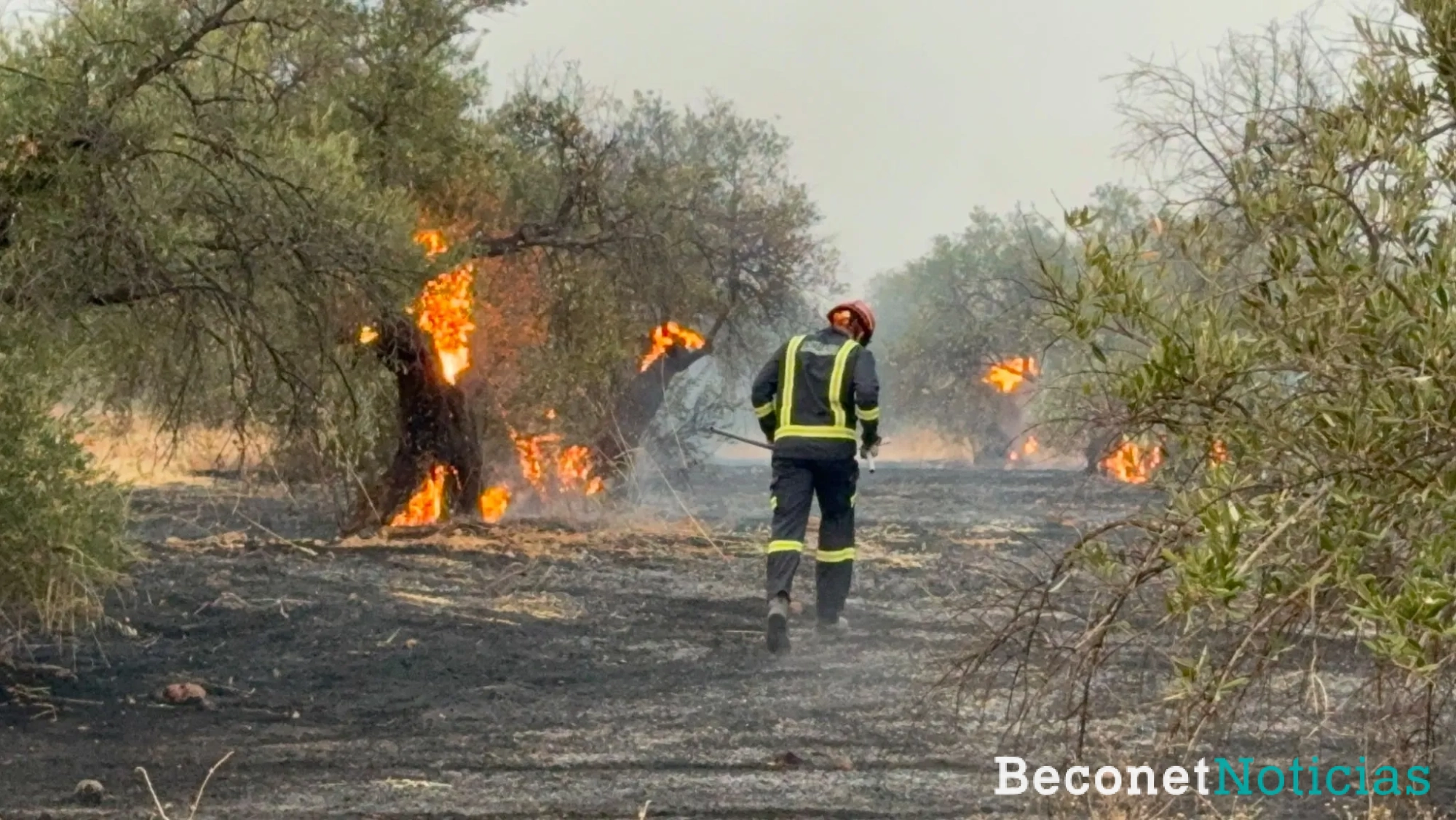 Bomberos actuando en el lugar del incendio. Bomberos actuando en el lugar del incendio.