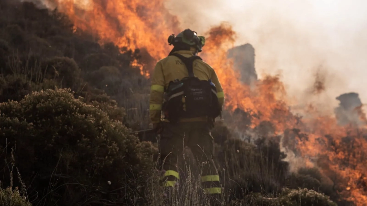 Un bombero forestal lucha contra un incendio. Foto: Plan Infoca