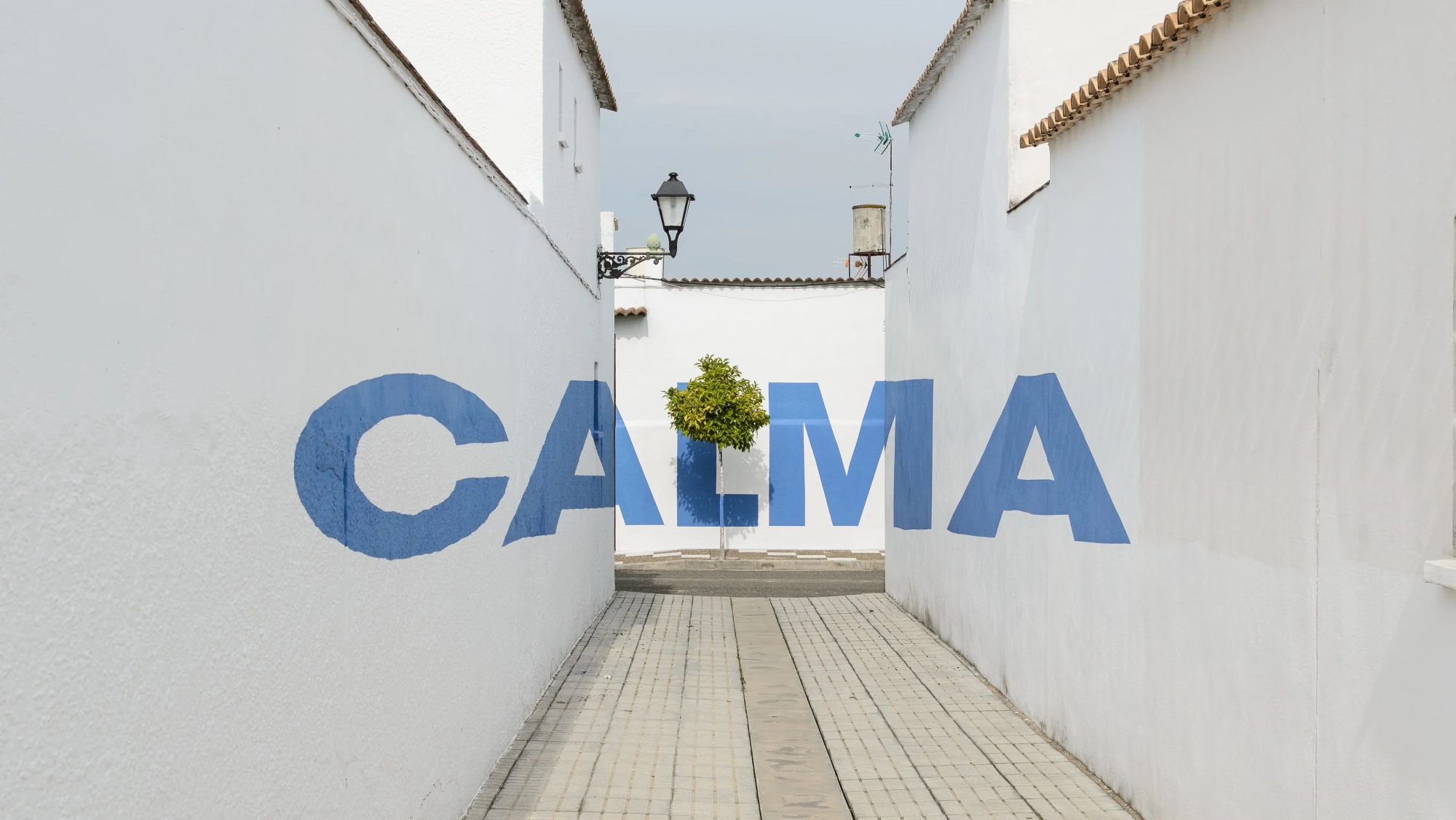 Anamorphic words in Maruanas 1