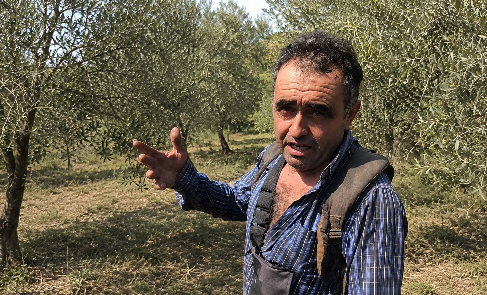 Bartolomé Corredor, agricultor de Montoro y creador de contenido en redes sociales.