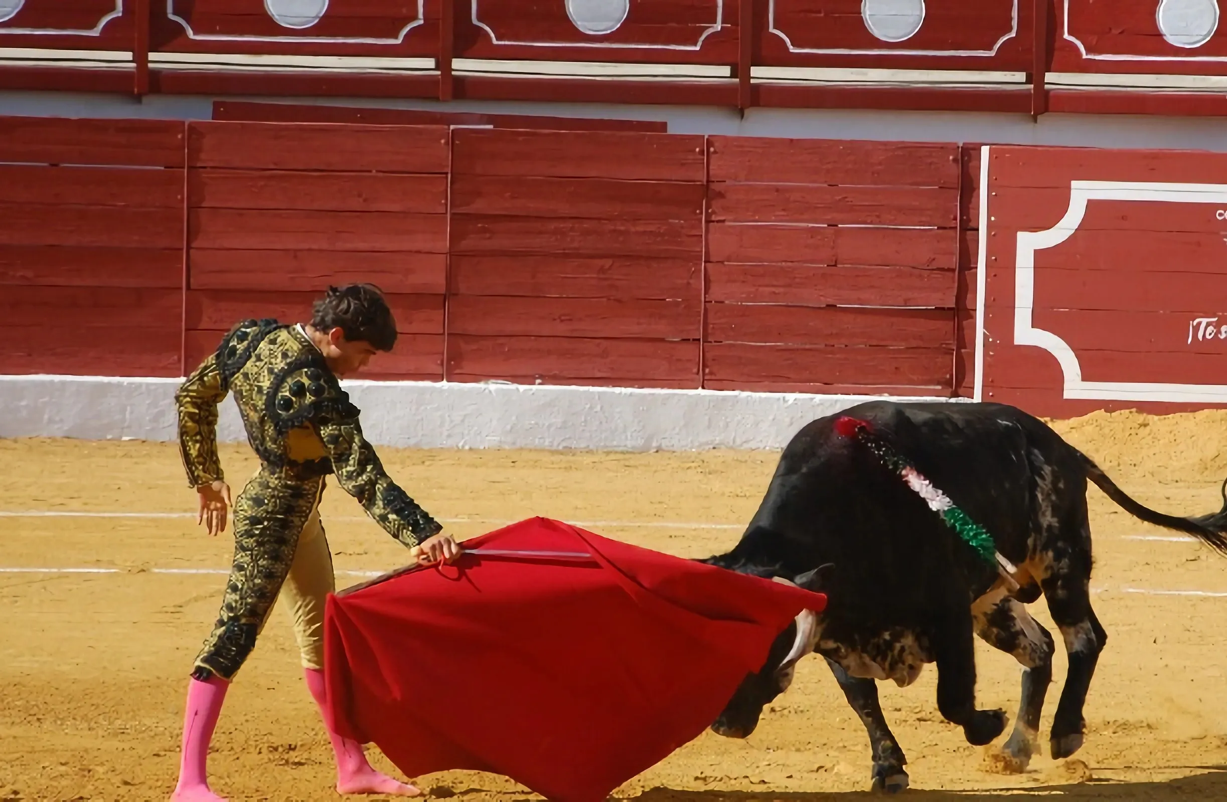 Toros en Constantina XXVI Ciclo de Novilladas en clase práctica. Foto: Ayuntamiento de Constantina