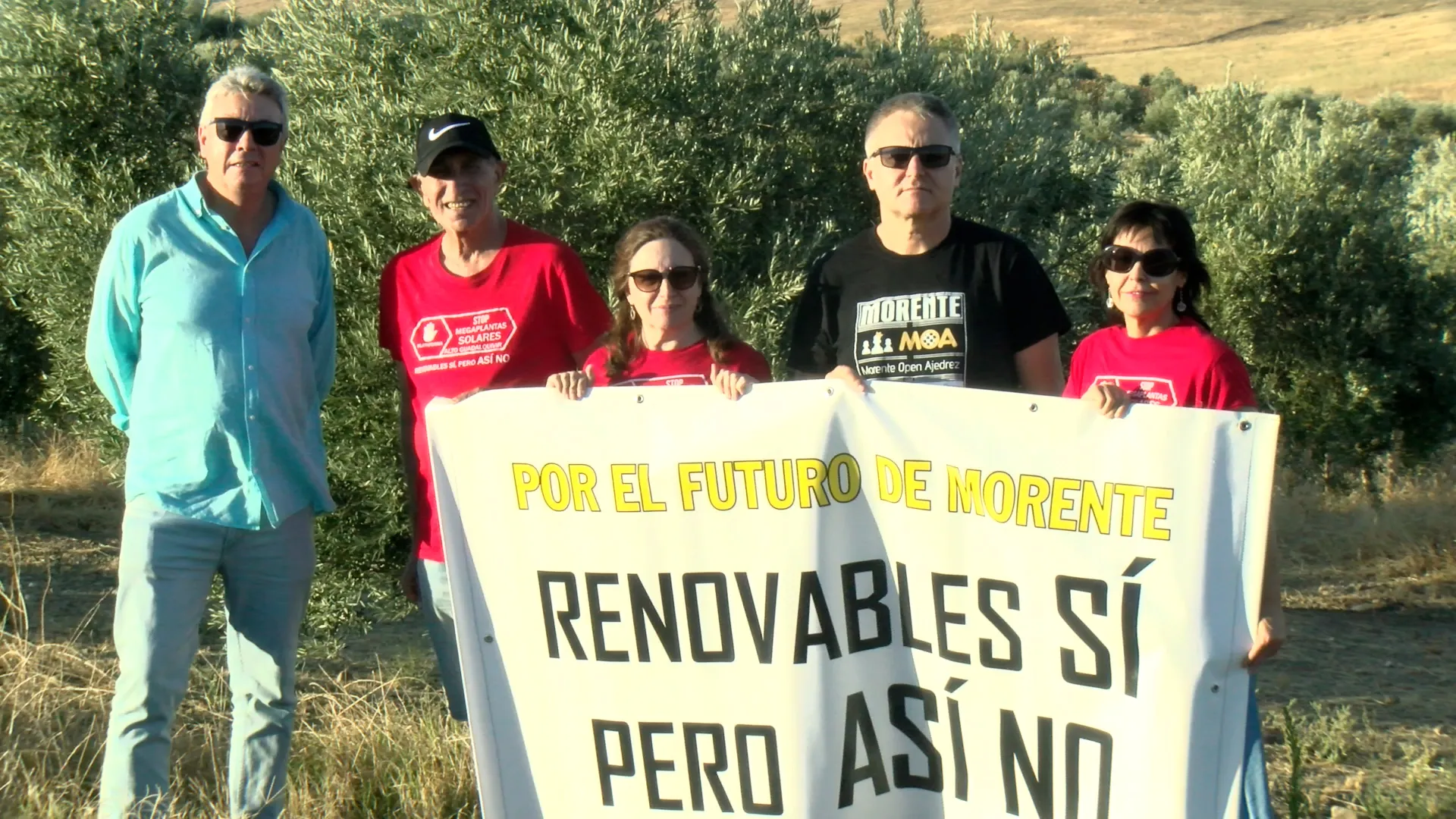 La Plataforma STOP Megaplantas Solares Alto Guadalquivir alza la voz ante la tala masiva de olivos.