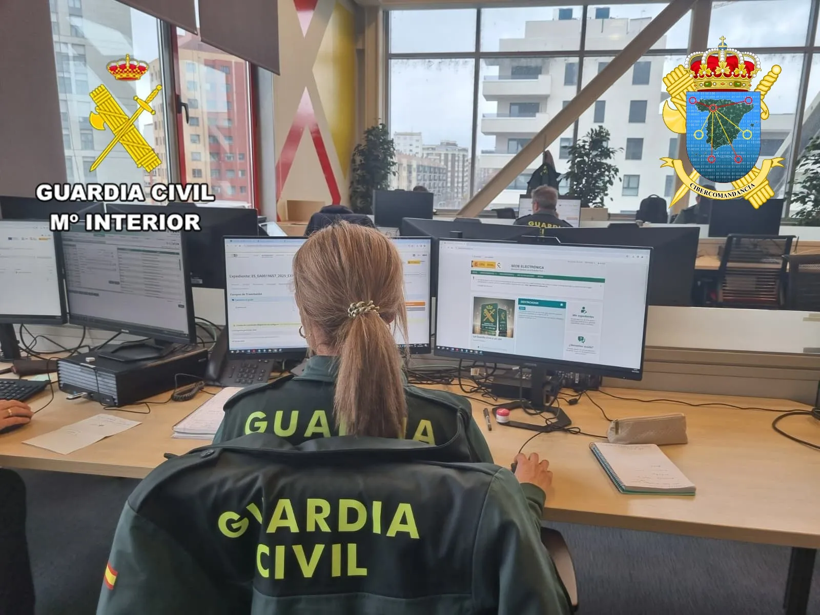 Las diligencias han sido puestas a disposición de la autoridad judicial competente de Córdoba. Foto: Guardia Civil