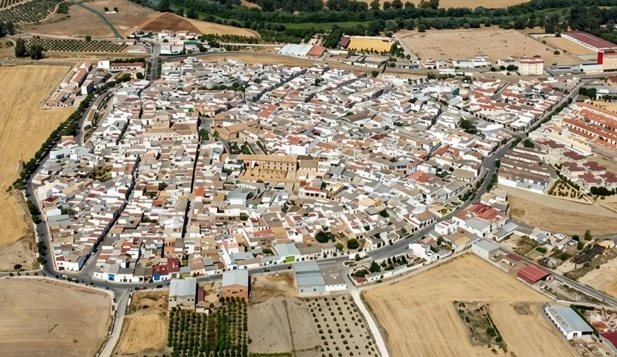 Vista aérea de El Carpio.