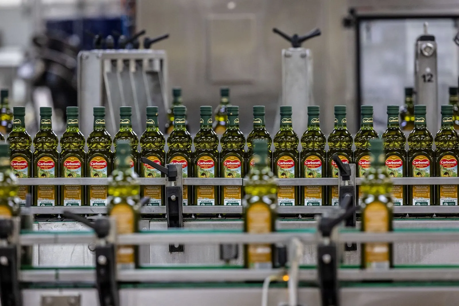 Andalucía produce el 80% del aceite nacional. Foto: El Conciso. 