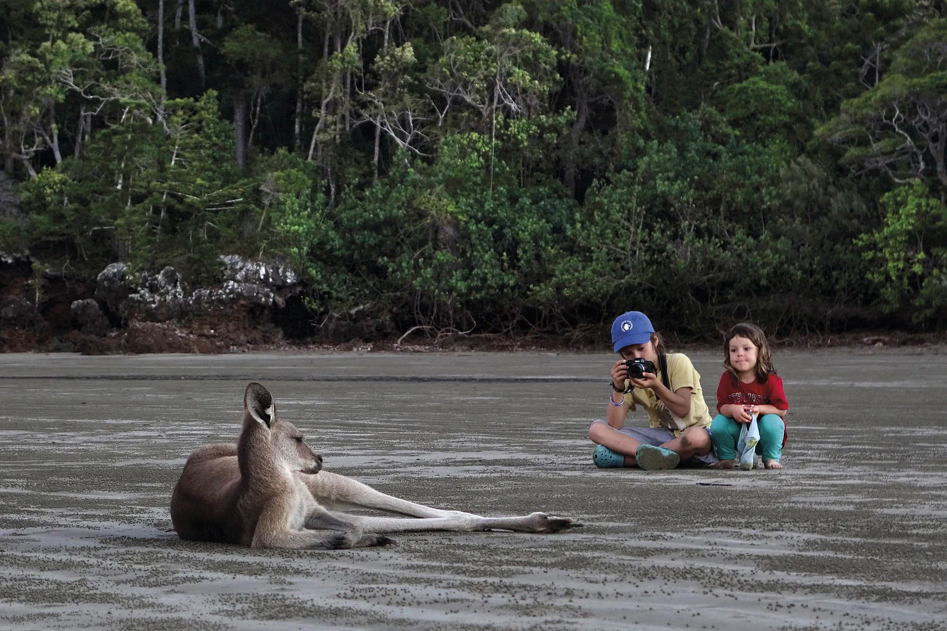 Fotograma de la película "El viaje de Unai", de Andoni Canela, ponente en esta segunda jornada de la I Bienal de Medio Ambiente de Villa del Río. Foto: RTVE. Fotograma de la película "El viaje de Unai", de Andoni Canela, ponente en esta segunda jornada de la I Bienal de Medio Ambiente de Villa del Río. Foto: RTVE.