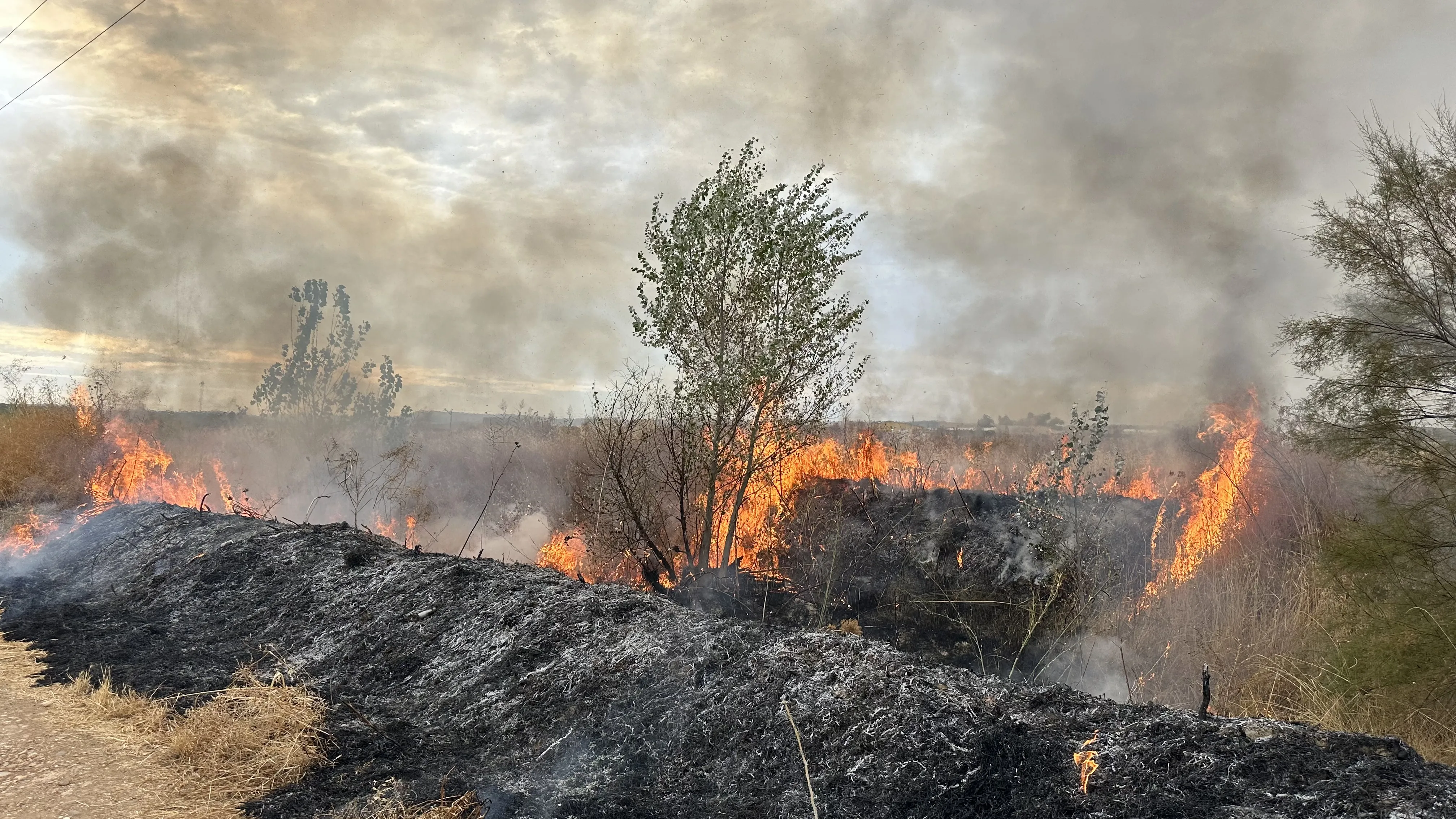Imagen del incendio originado 