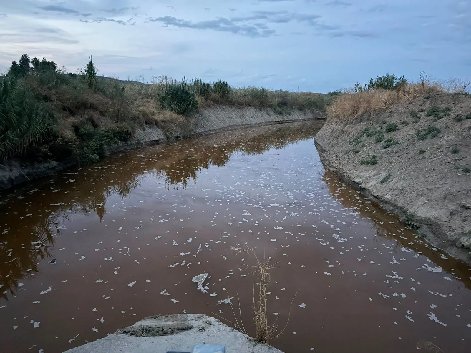 Agua acumulada y estancada en el arroyo Cañetejo. Foto: Ayuntamiento
