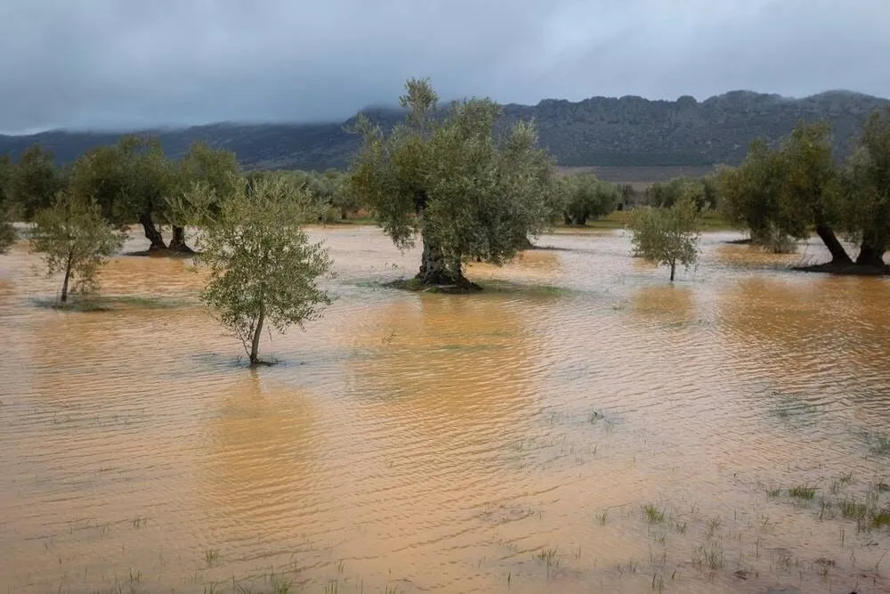 Foto: Diego Cañamero