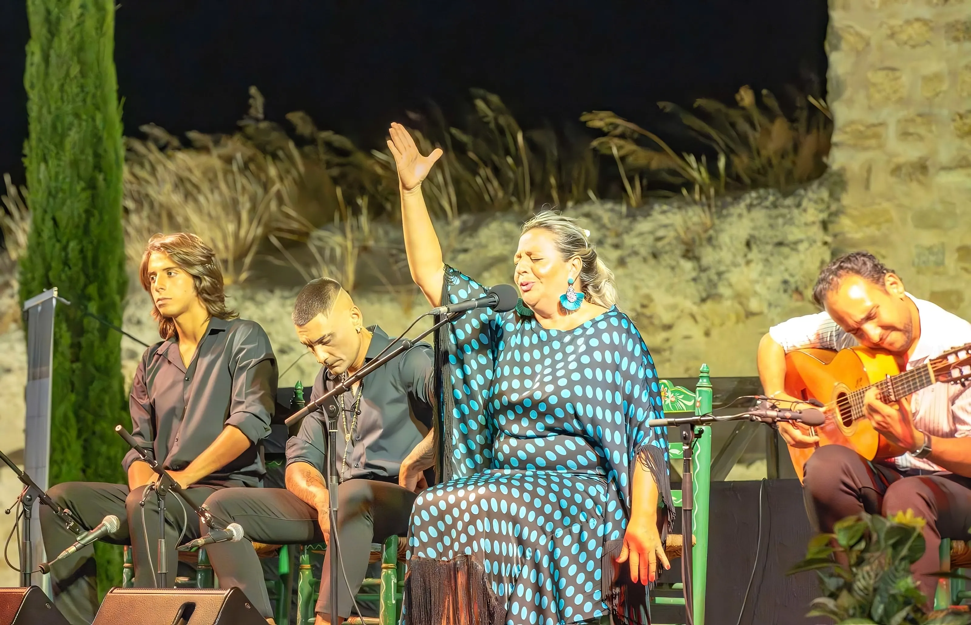 Actuación de flamenco en Bujalance. Foto: Emilio Hueto