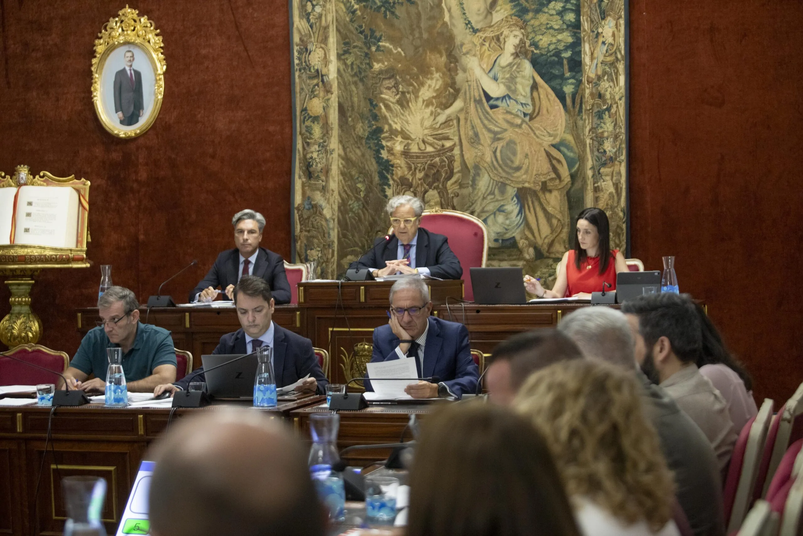 Pleno ordinario de la Diputación de Córdoba. Foto: Diputación de Córdoba