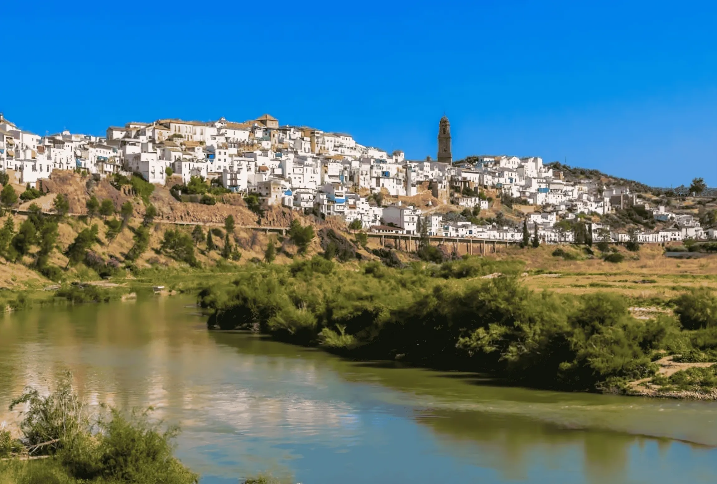 Panorámica de la Leal, Noble y Patriótica Ciudad de Montoro. Foto: Kampaoh