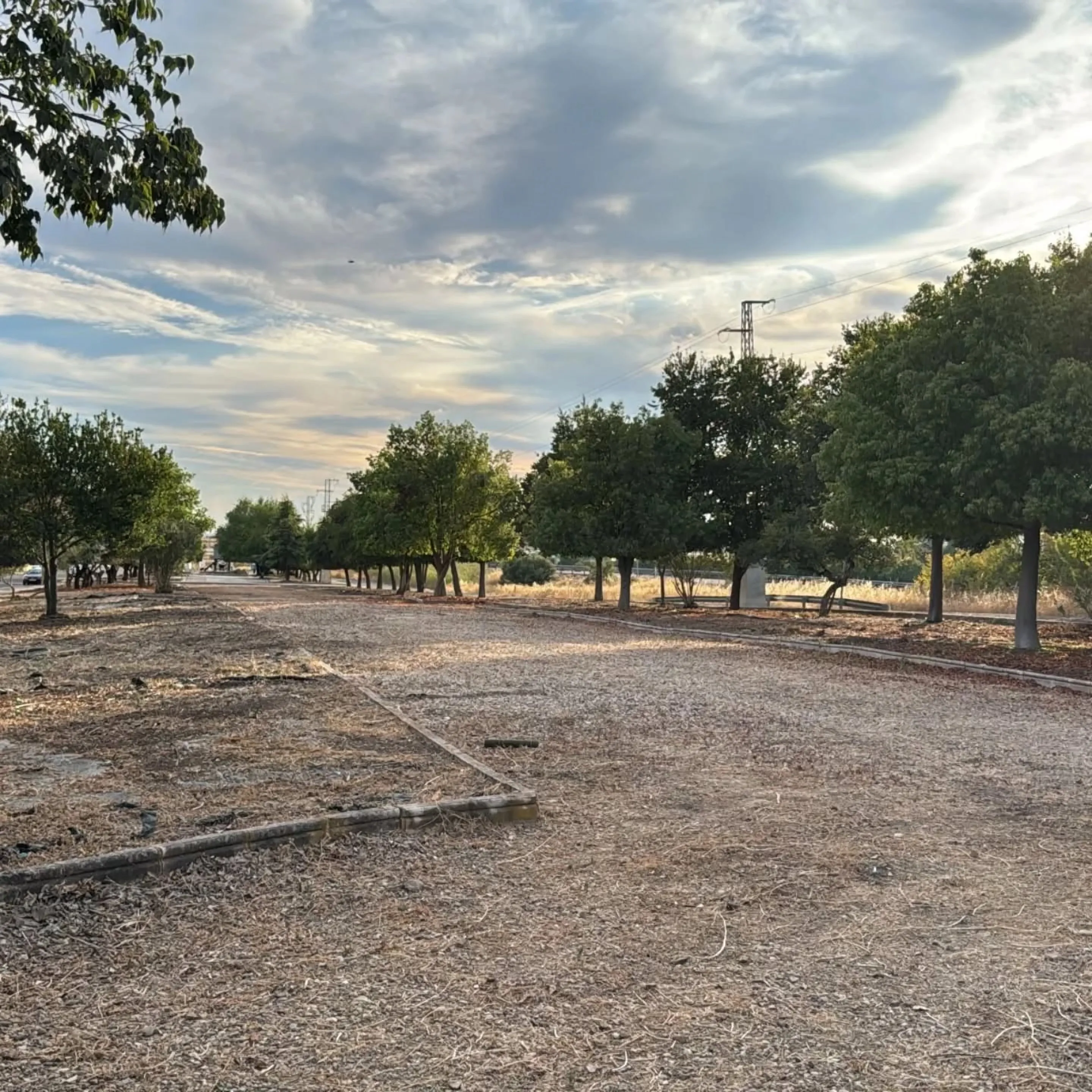 Jardines del Polígono Industrial tras las tareas de limpieza.