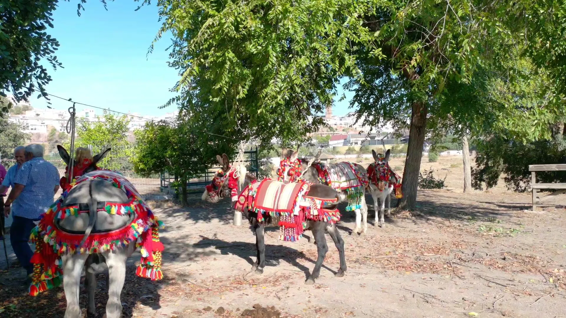 Inauguración de la Feria de Ganado de Montoro