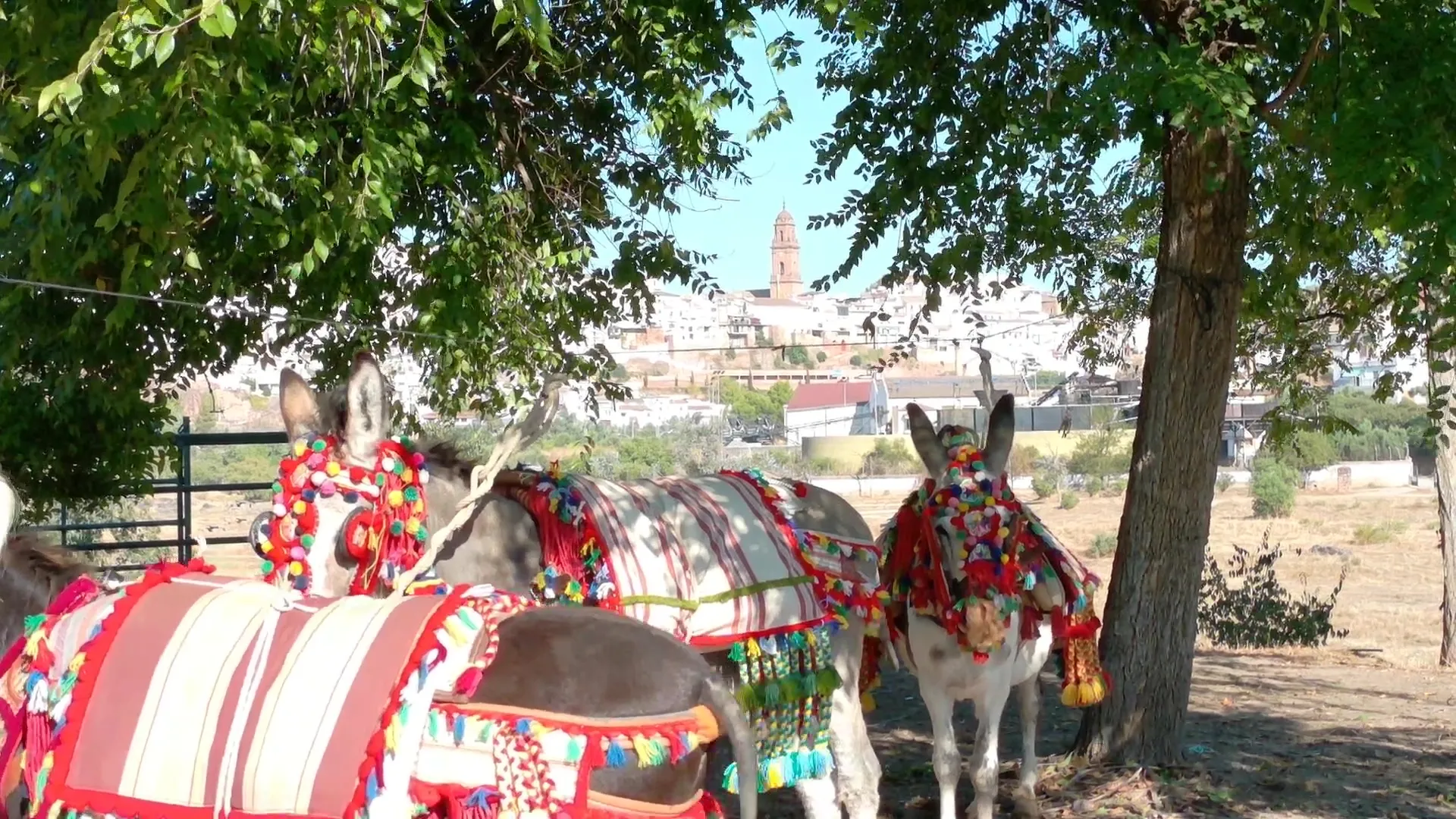 Inauguración de la Feria de Ganado de Montoro