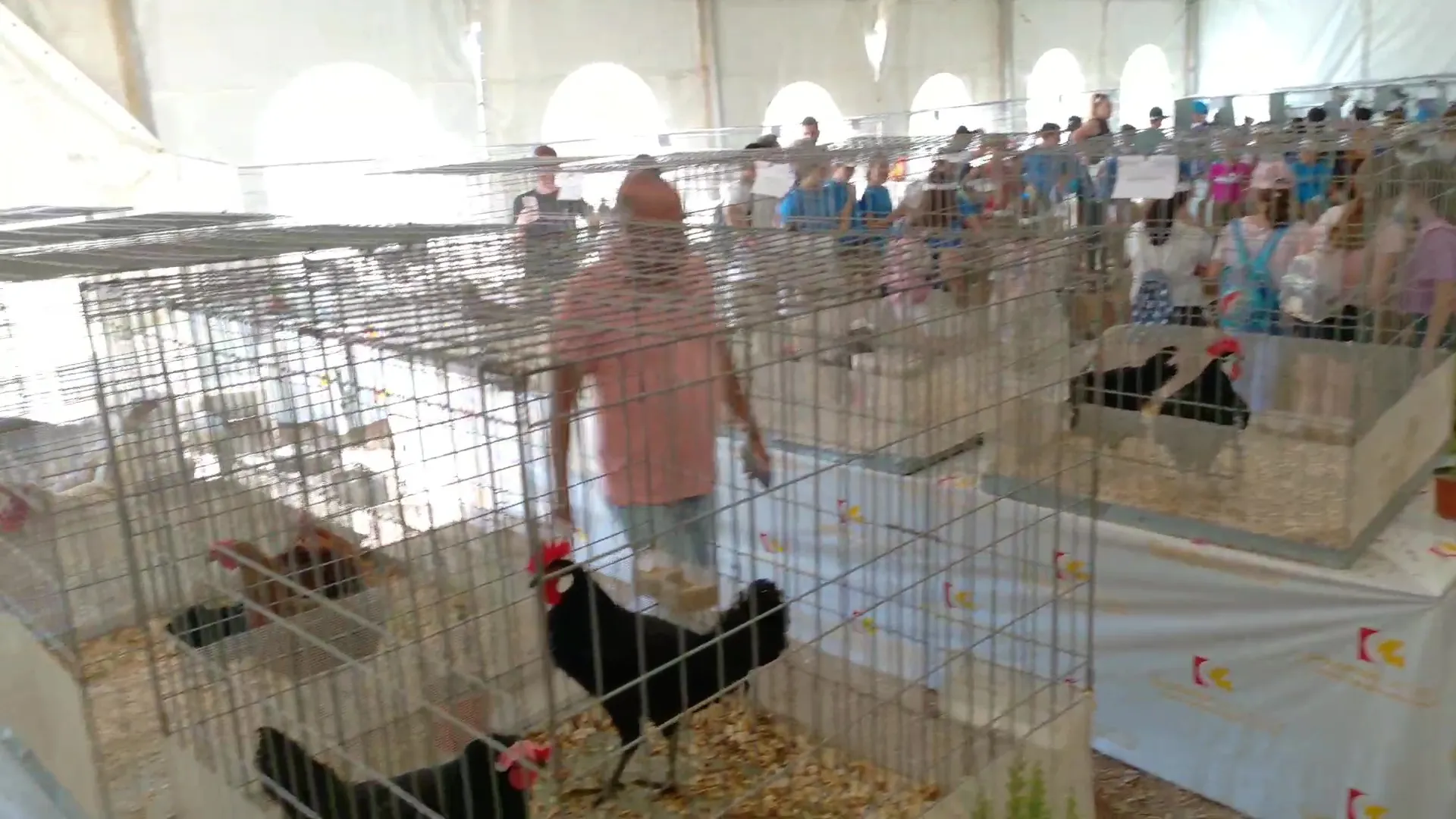 Inauguración de la Feria de Ganado de Montoro